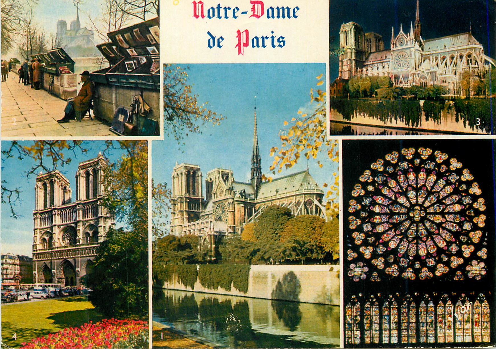 CPM Couleurs et Lumiere de France Paris Notre Dame Un des chefs d oeuvre de l architecture gothique en France