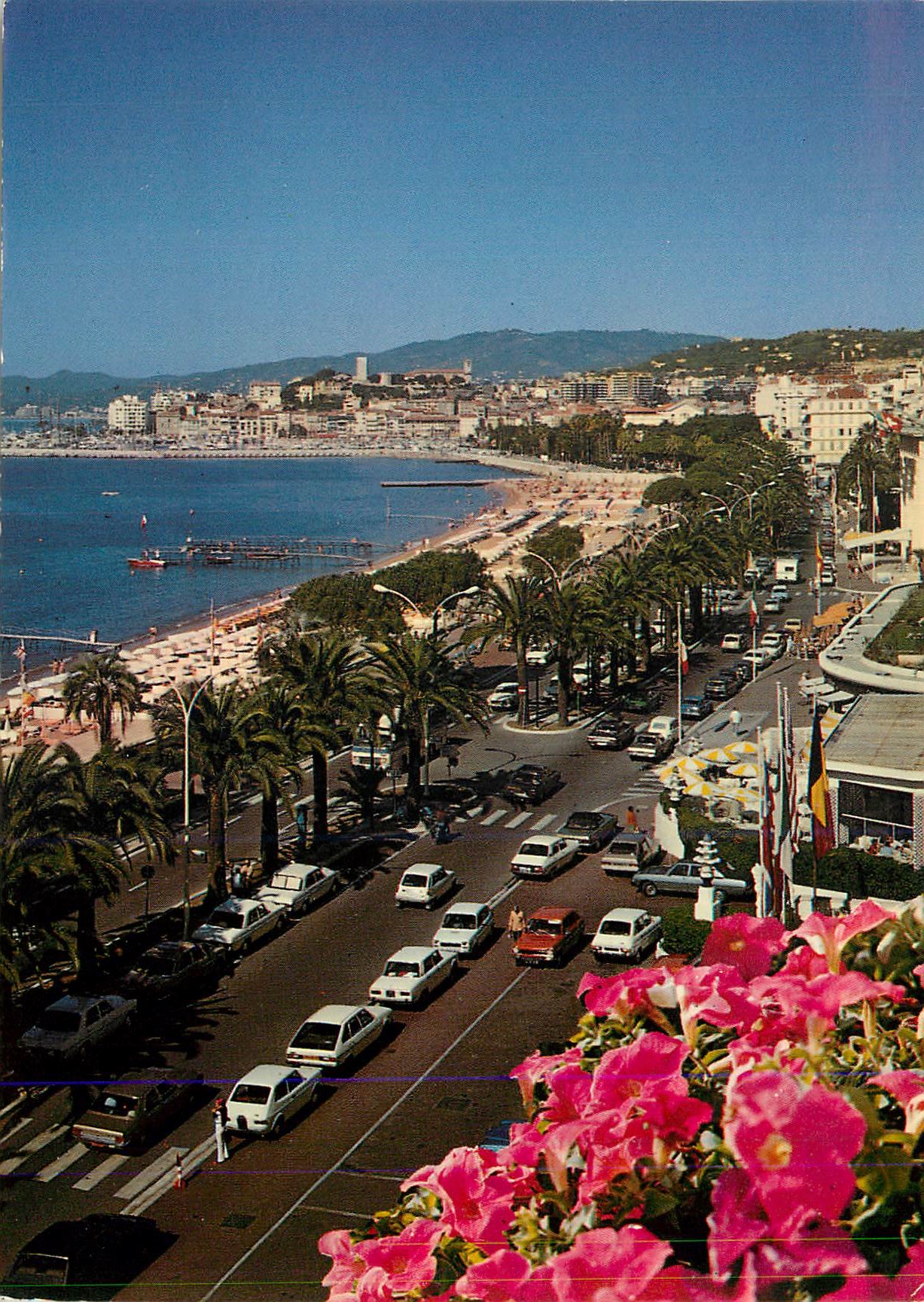 CPM Cannes La Promenade de la Croisette dans le fond le Suquet