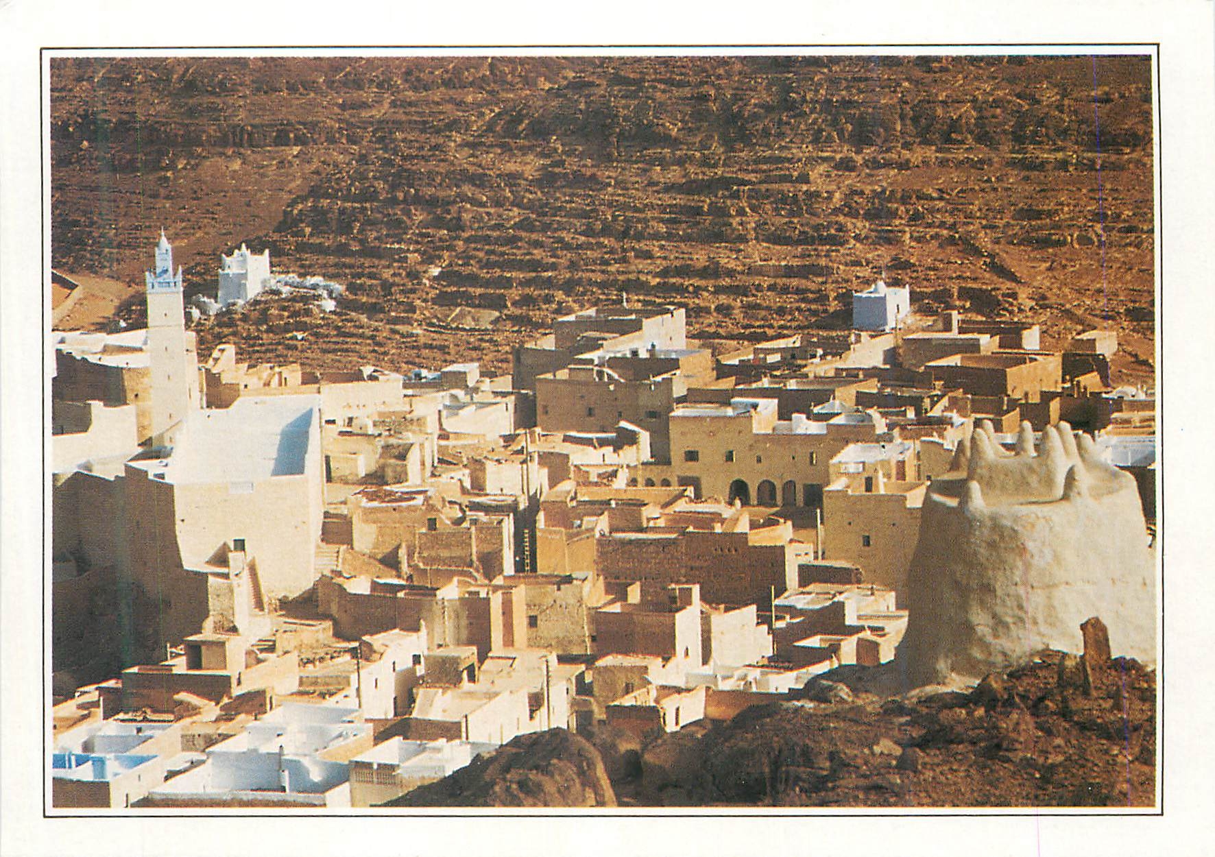 CPM Algerie Oasis de Metili Metili est une oasis par les no mades chambaa