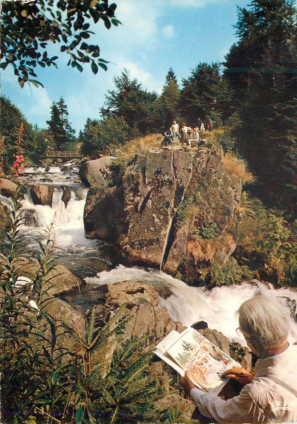 CPM Les Vosges Pittoresques Gerardmer Le Saut des Cuves