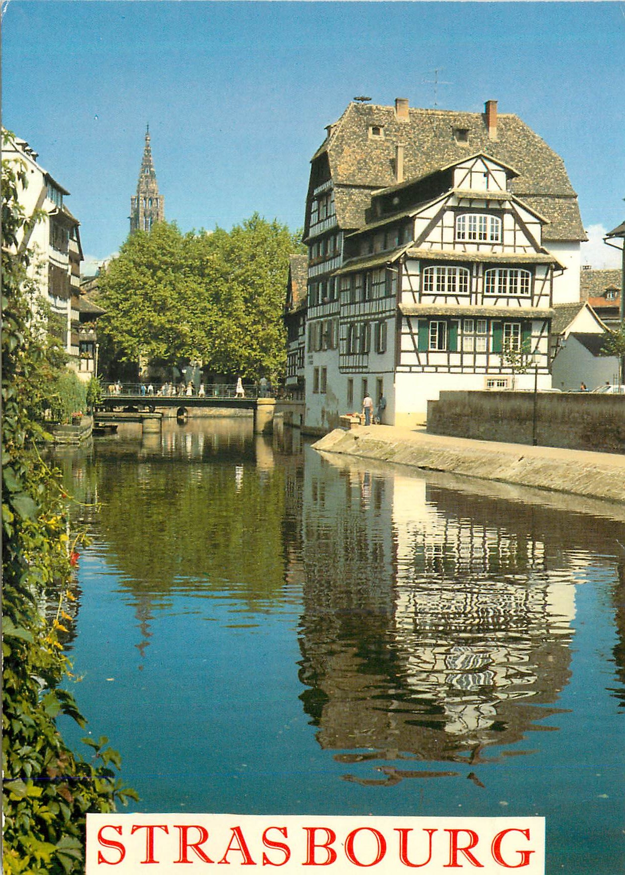 CPM Strasbourg Le Bain aux Plantes
