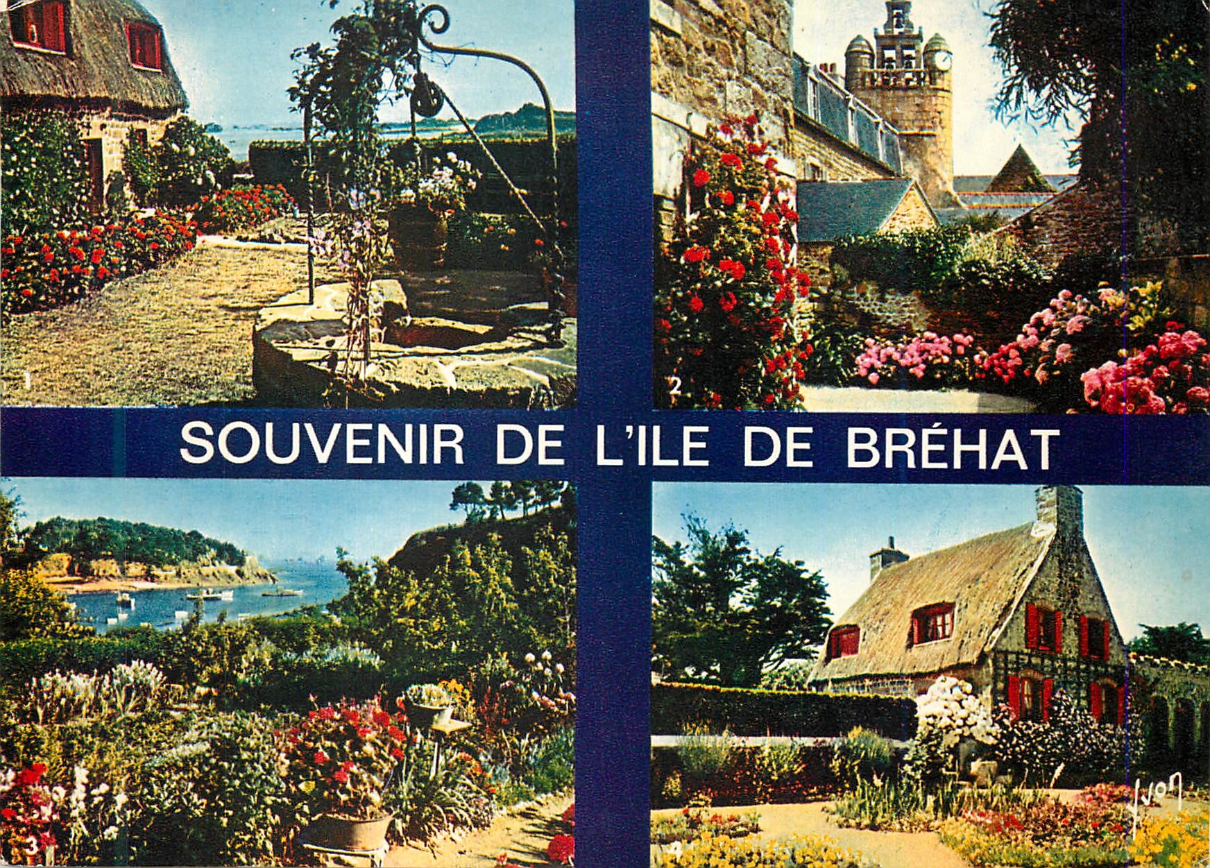 CPM Couleurs et Lumiere de France La Bretagne Ile de Brehat Cotes du Nord Ile des fleurs et des roches roses