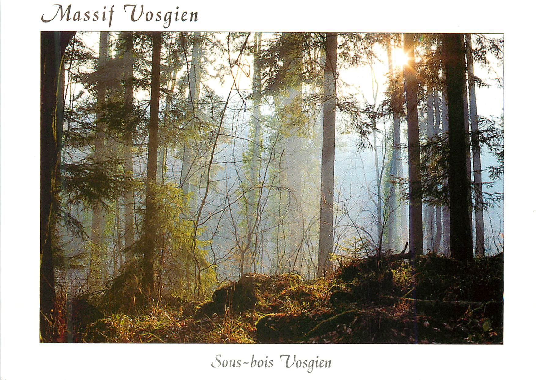 Sous-bois Vosgien — Massif Vosgien — Éditions Europ — EV 144