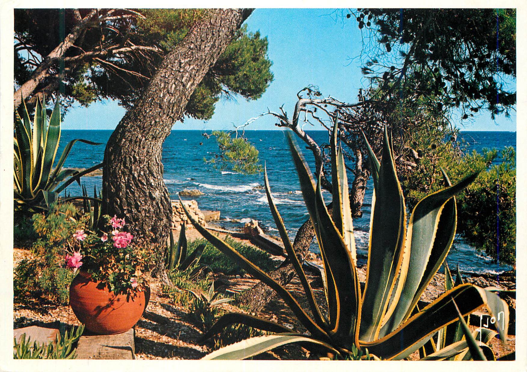 CPM La Cote d Azur Paysage Mediterraneen