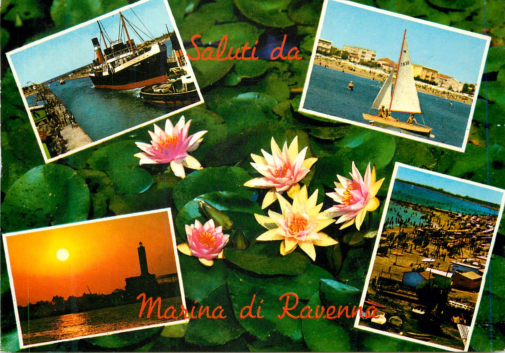 CPM Marina di Ravenna un bonjour de Marina di Ravenna