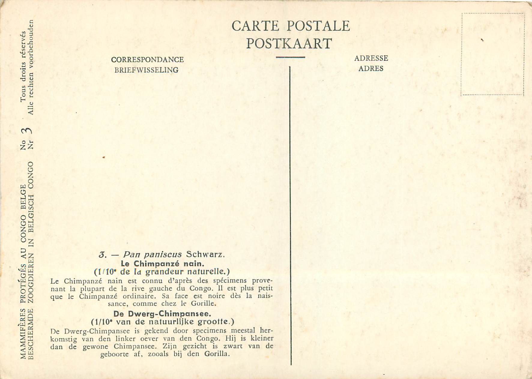 CPM Musee Royal d Histoire Naturelle de Belgique Koninklijk Natuurhistorisch Museum Van Belgie Pan paniscus Schwarz Le C — Rückseite