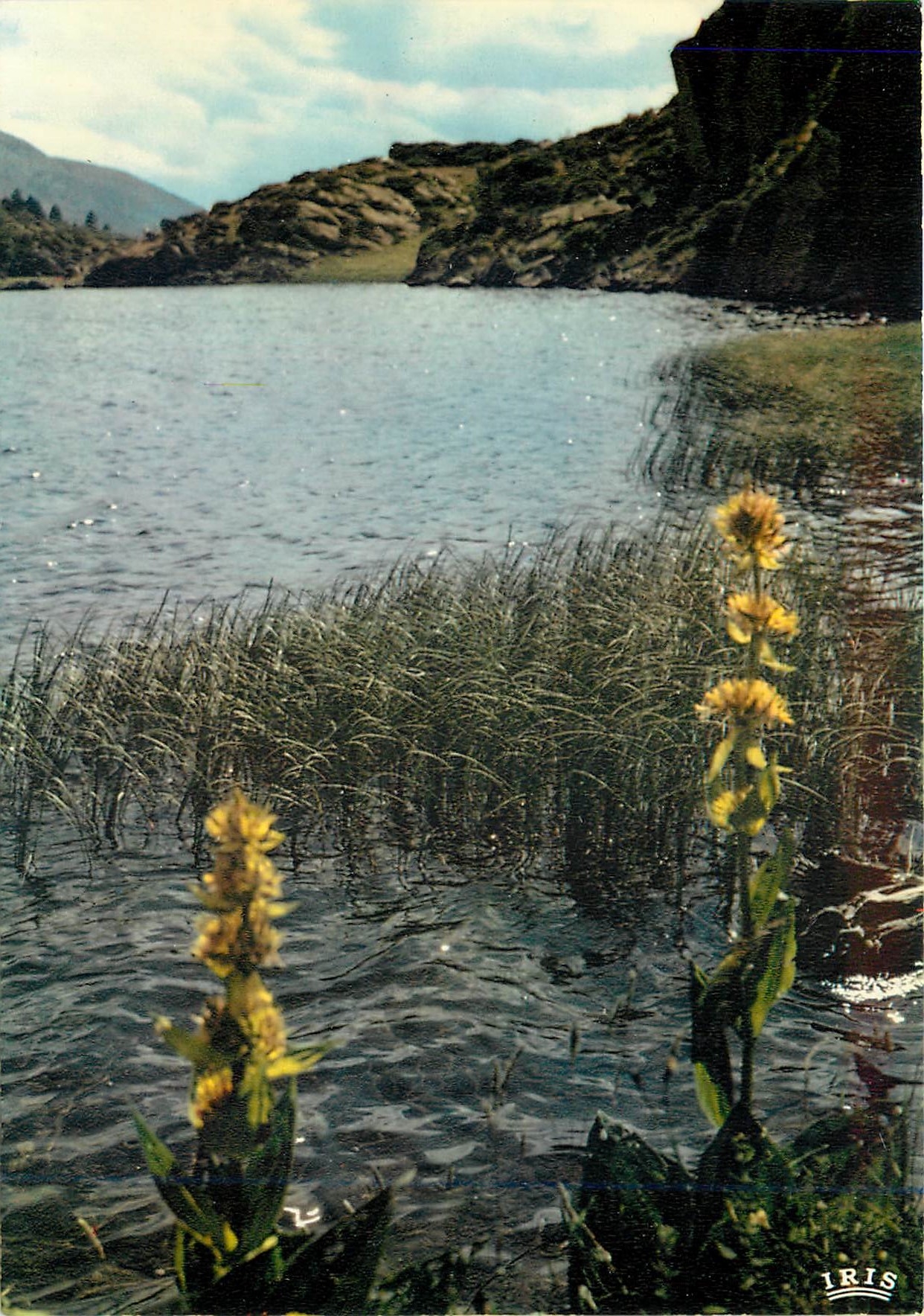 CPM La Cerdagne Francaise Les lacs du Carlite Lac de Pradeille