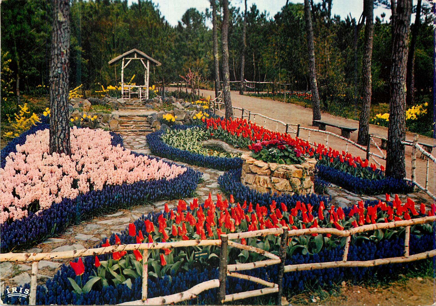 CPM Cote de Lumiere La Tranche Sur Mer Vendee Les Floralies exposition Mars Avril