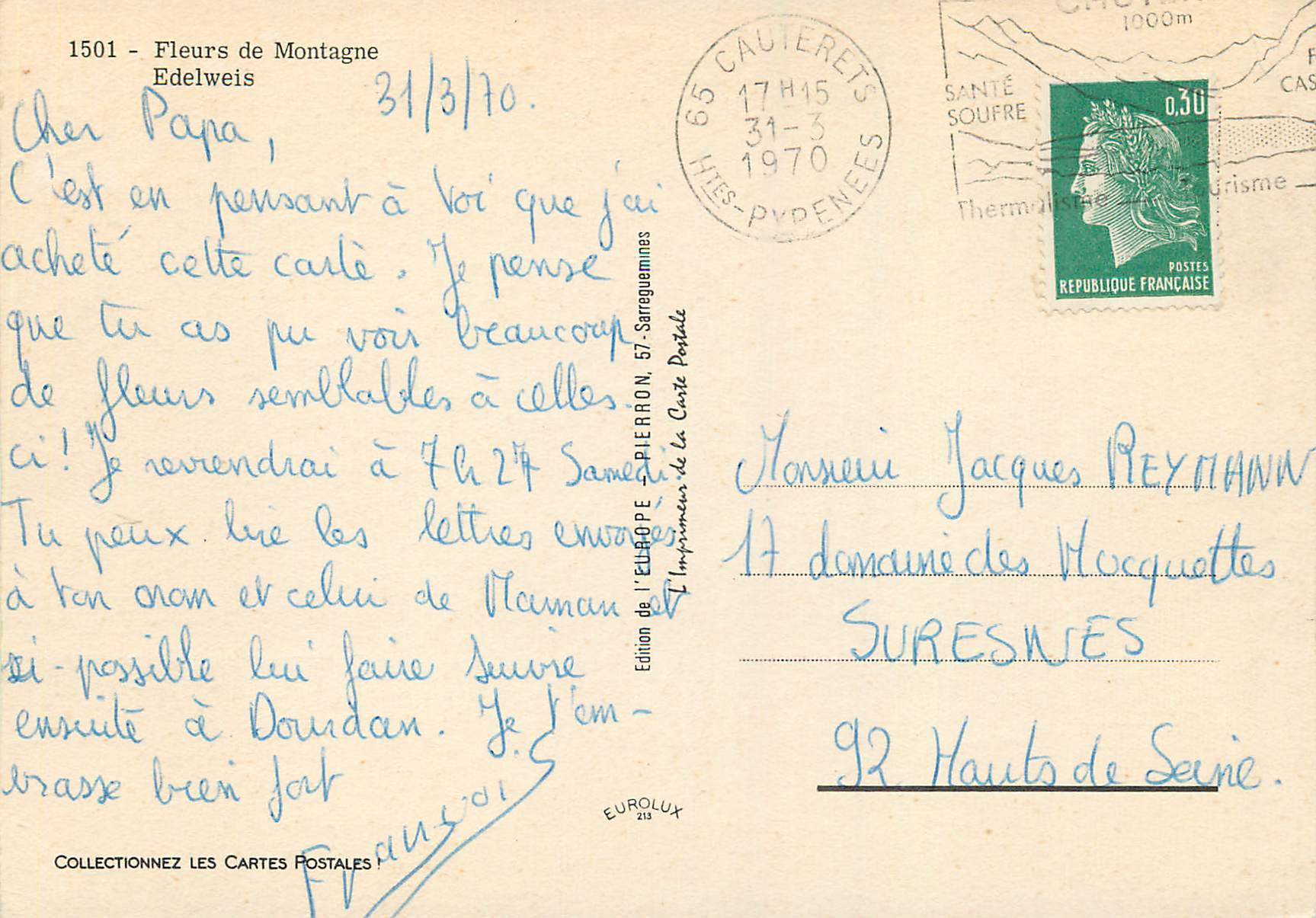 CPM Fleurs de Montagne Edelweis — Verso