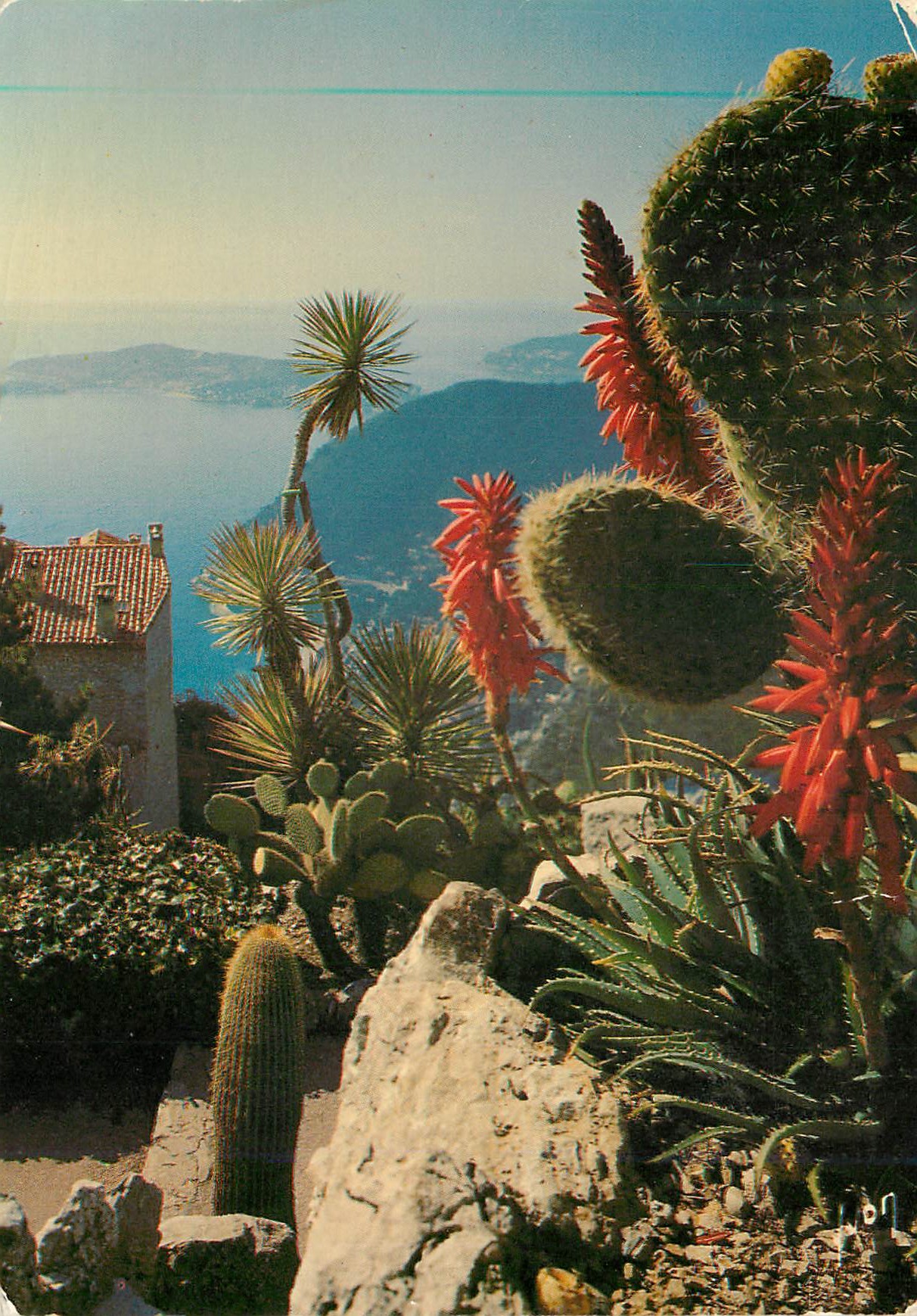 Jardin Exotique à Eze — La Côte d'Azur — Éditions Jean-Jaurès