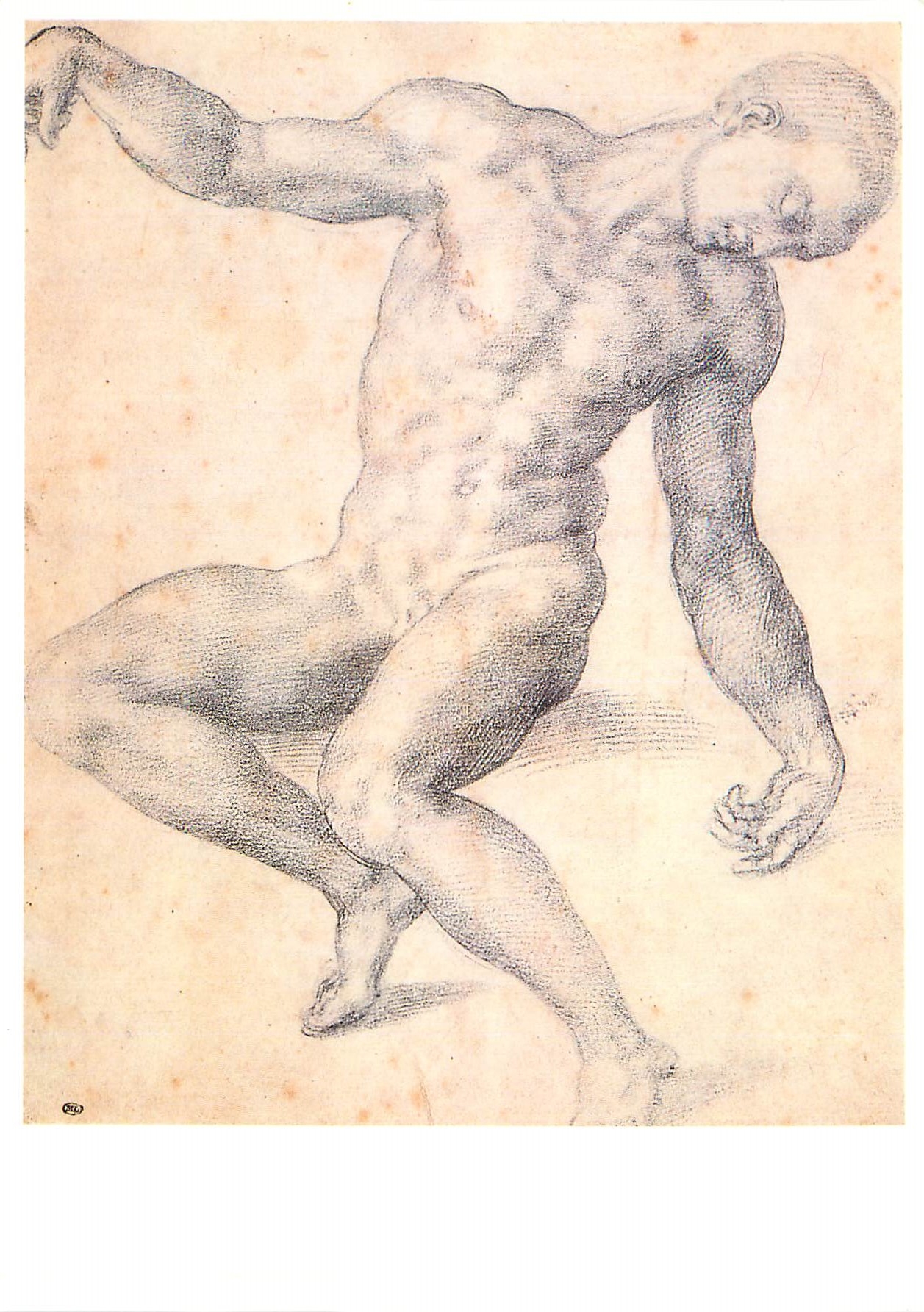 CPM Baccio Bandinelli Etude d un homme mort Pierre noire