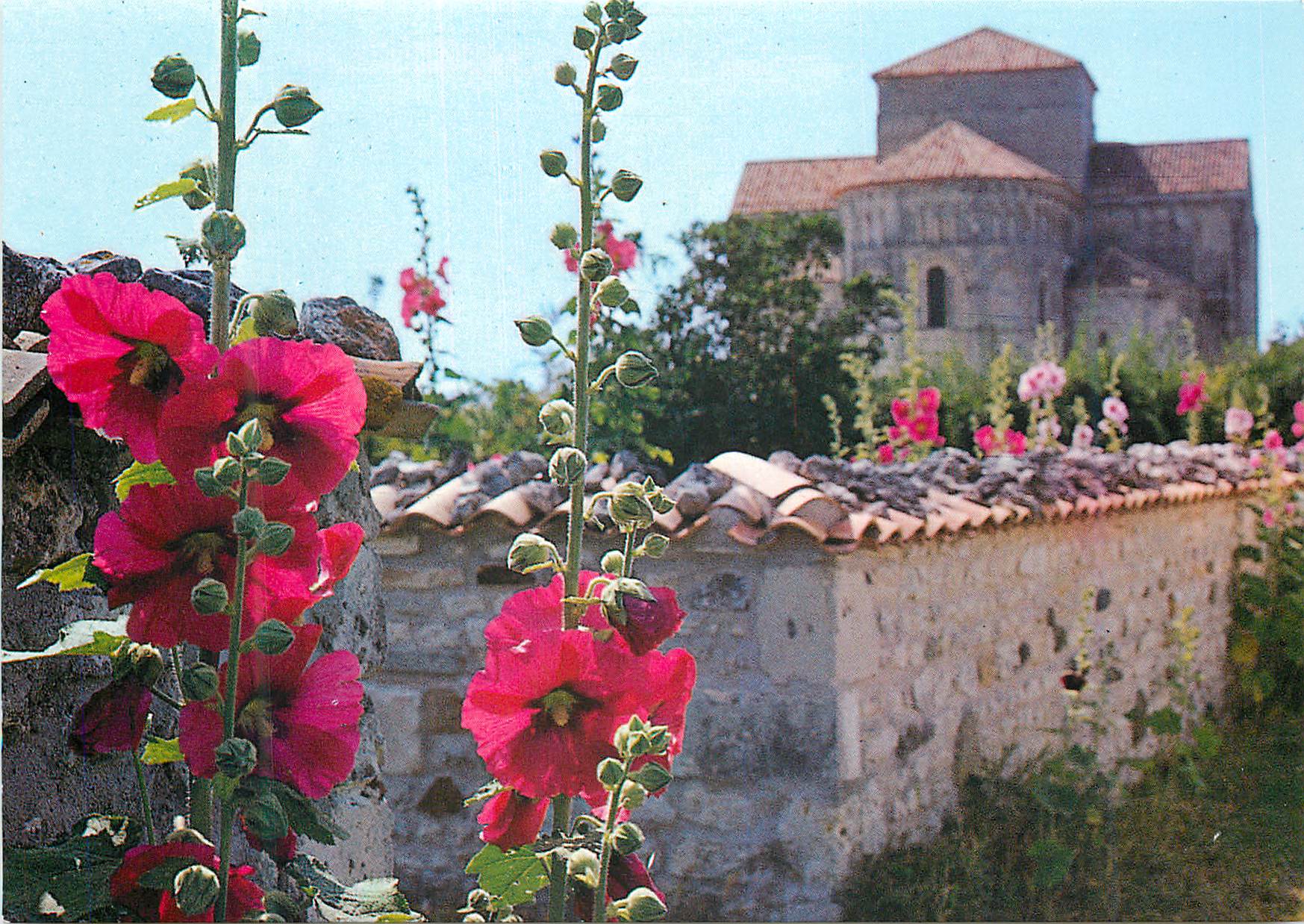 CPM Talmont Roses Tremieres et eglise Sainte Radegonde