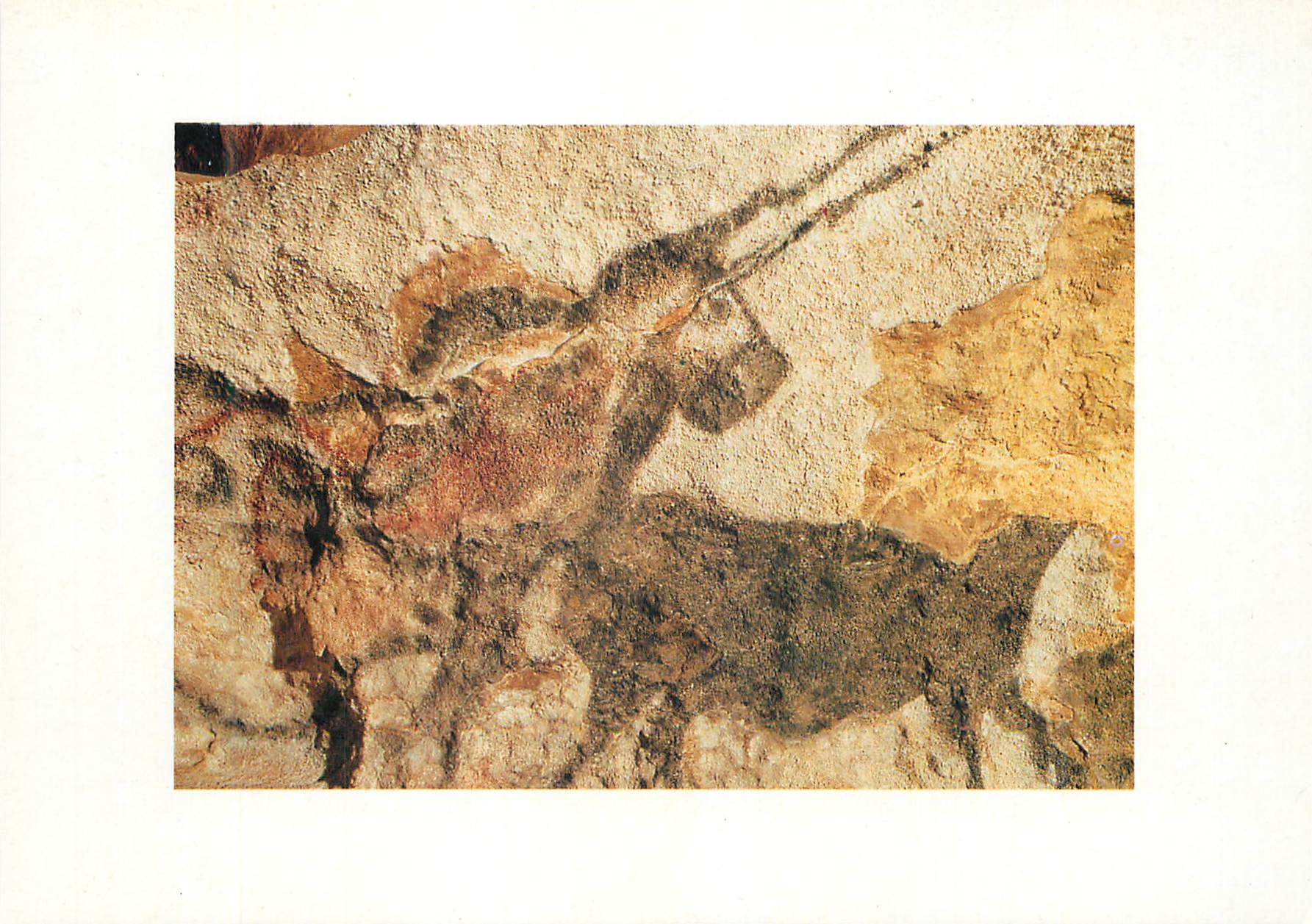 CPM Lascaux Montignac Dordogne Perigord La Licorne detail Salle des Taureaux parol gauche