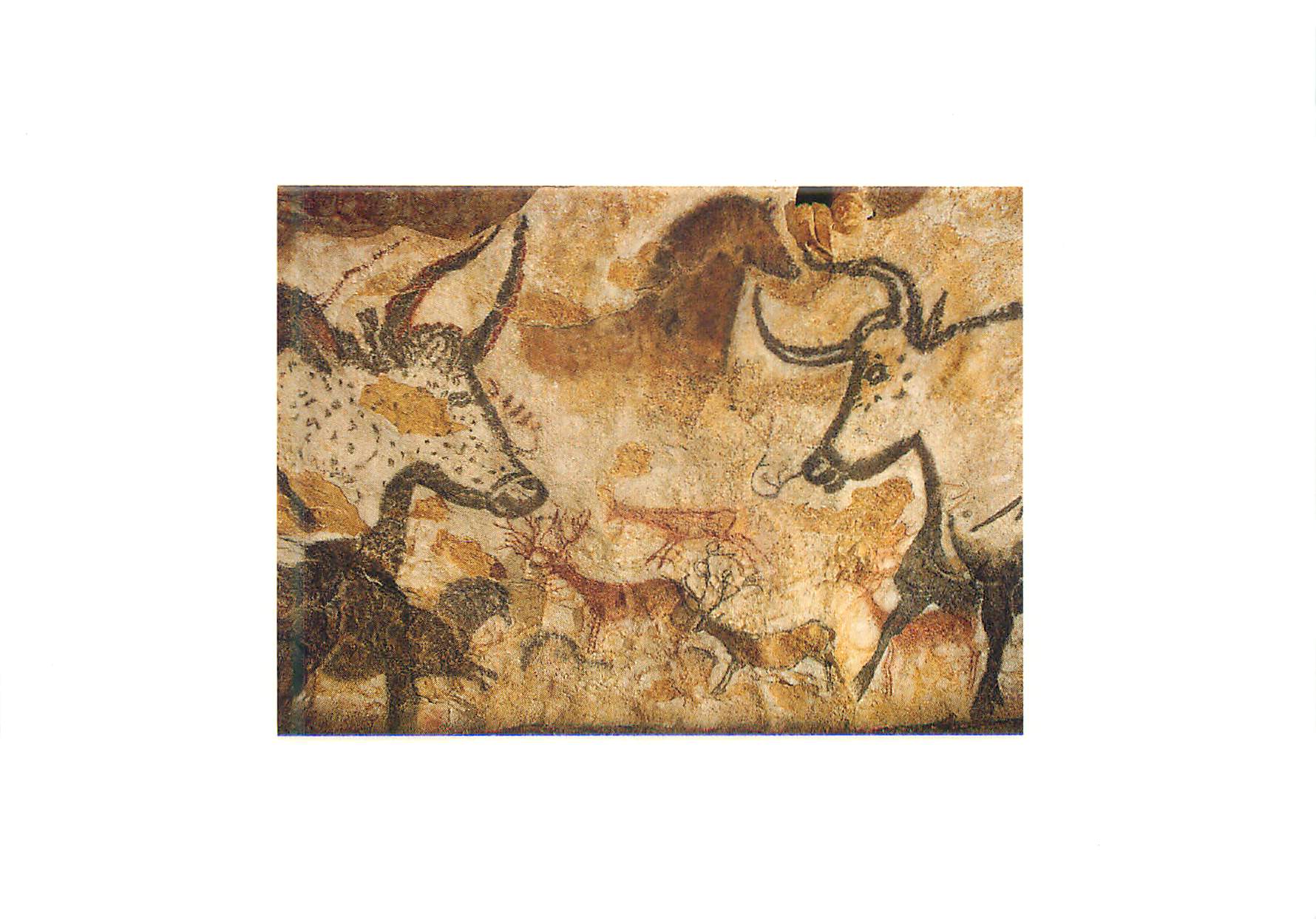 Lascaux (Montignac) — Detail of the Left Wall of the Hall of Bulls — Éditions du Tourisme de la Dordogne