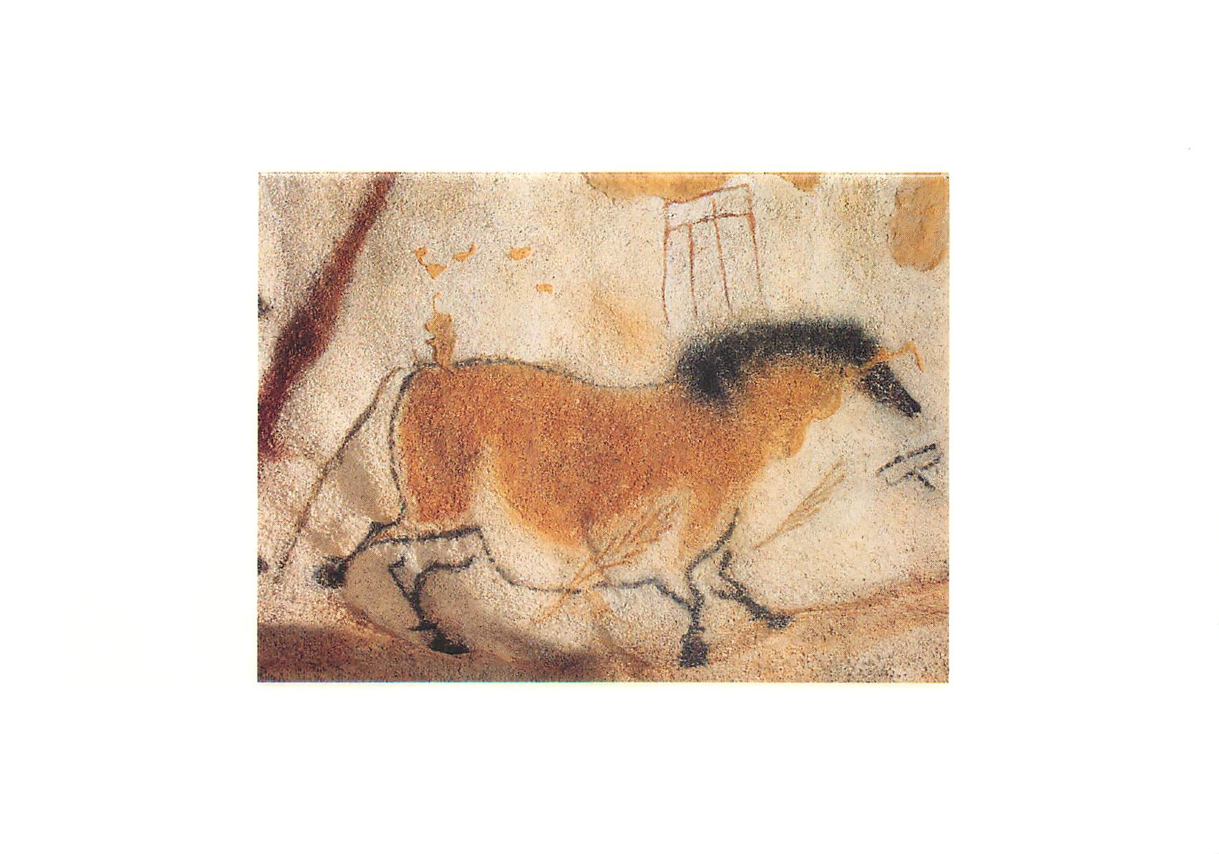 CPM Lascaux Montignac Dordogne Perigord Second cheval chinois Diverticule Axial parol droite