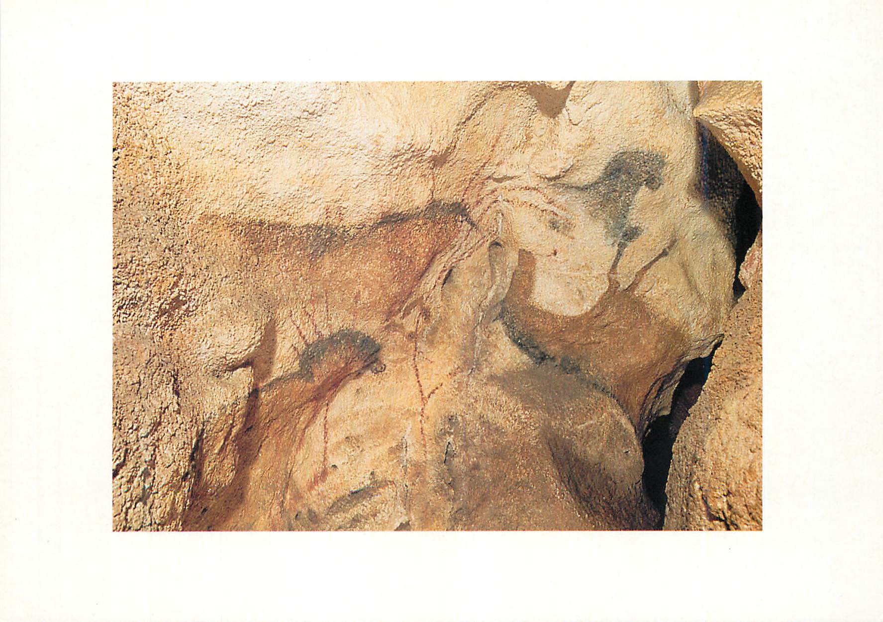 Lascaux II (Montignac) — Horse « falling backwards » — Éditions SEMITOUR, series LX - V 129