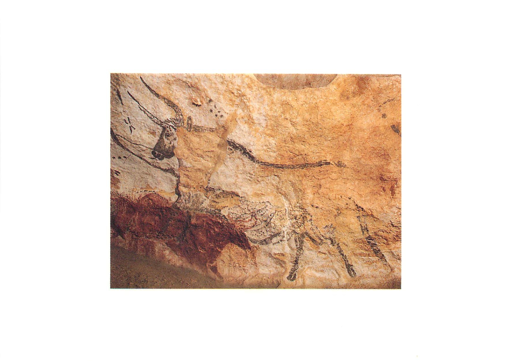 Lascaux (Montignac) — Salle des Taureaux, paroi droite — Éditions du Tourisme de la Dordogne, série LX-V 109