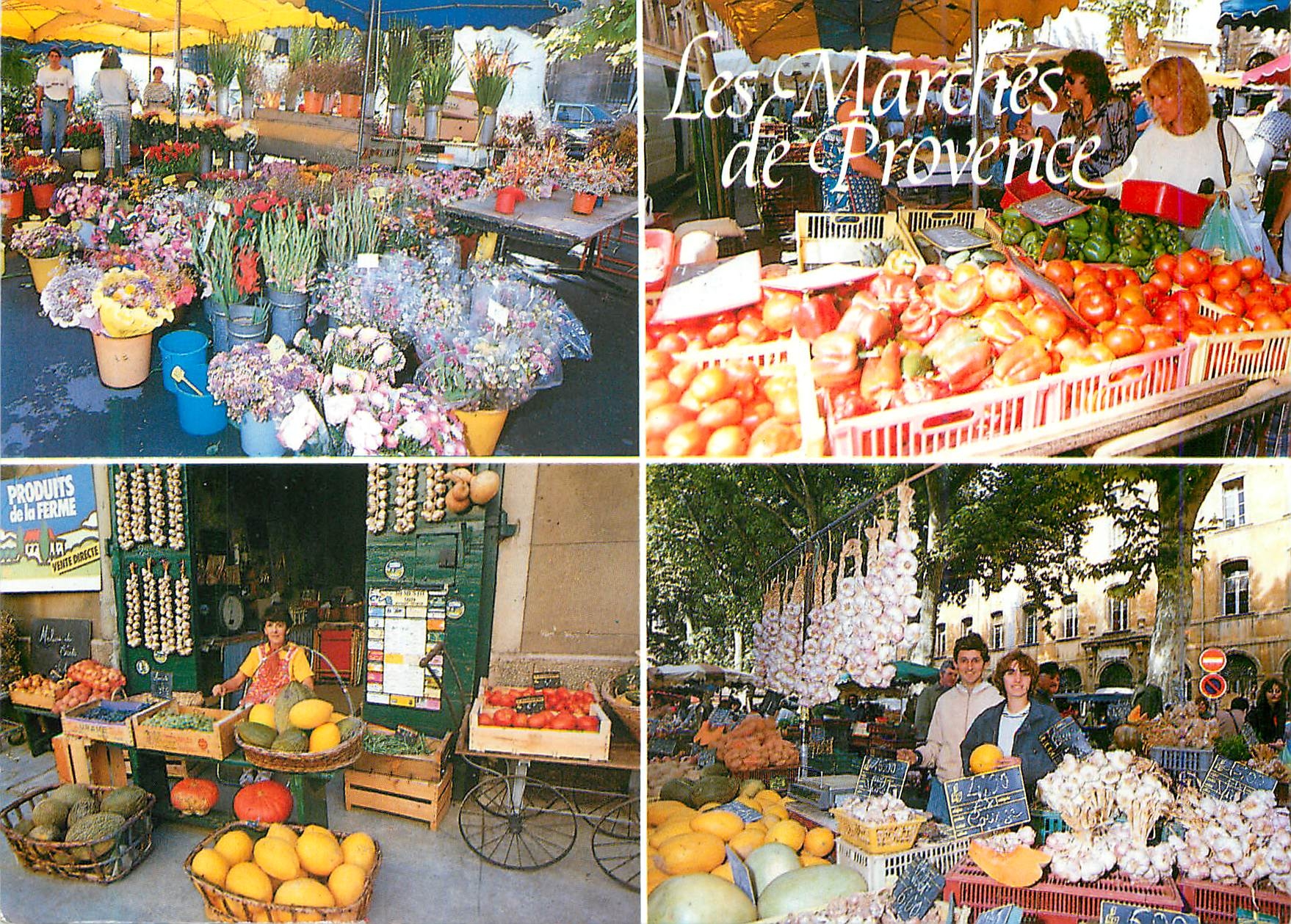 CPM Lumiere et Beautie de la Provence Les marches pittoresques de Provence
