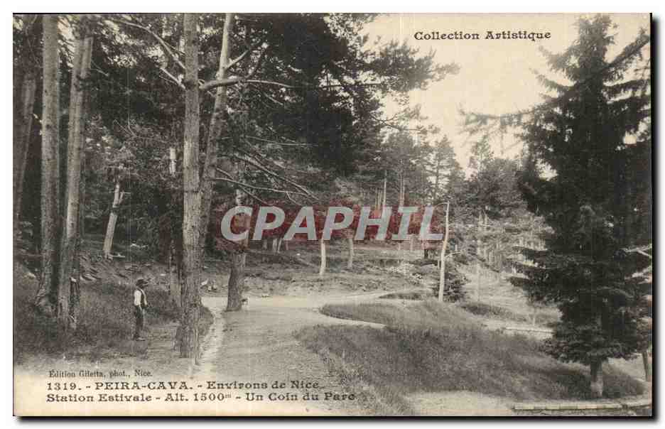 Piera Cava - Station Entival - Alt 1500m - 40 kil de Nice - Un coin de Parc - CPA 
