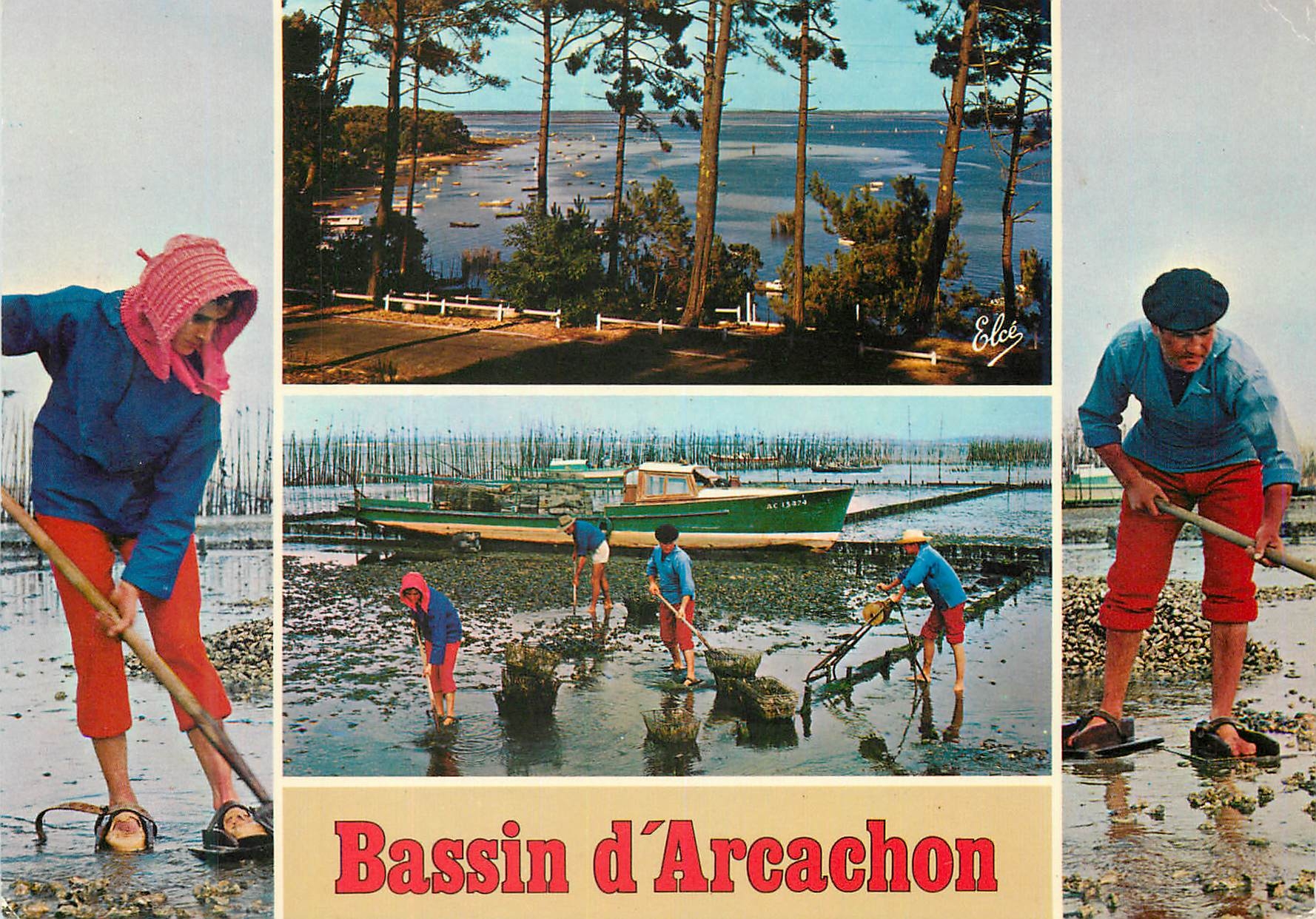 CPM Bassin d'Arcachon de Haut en Bas Echappee sur le Bassin Travaux ostreicoles Le ramassage des huitres dans les parcs 