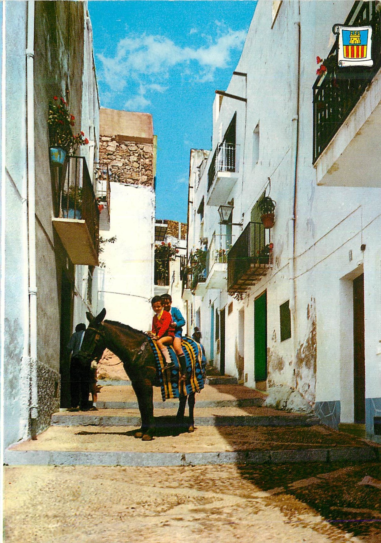 CPM Peniscola (Castellon) Rue Tipique Ane Donkey