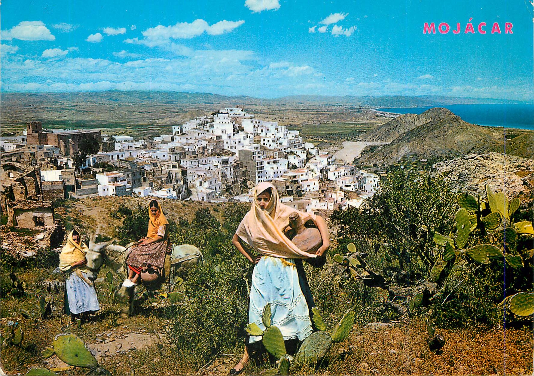 CPM Mojacar (Almeria) Espana Vue Panoramique Ane Donkey