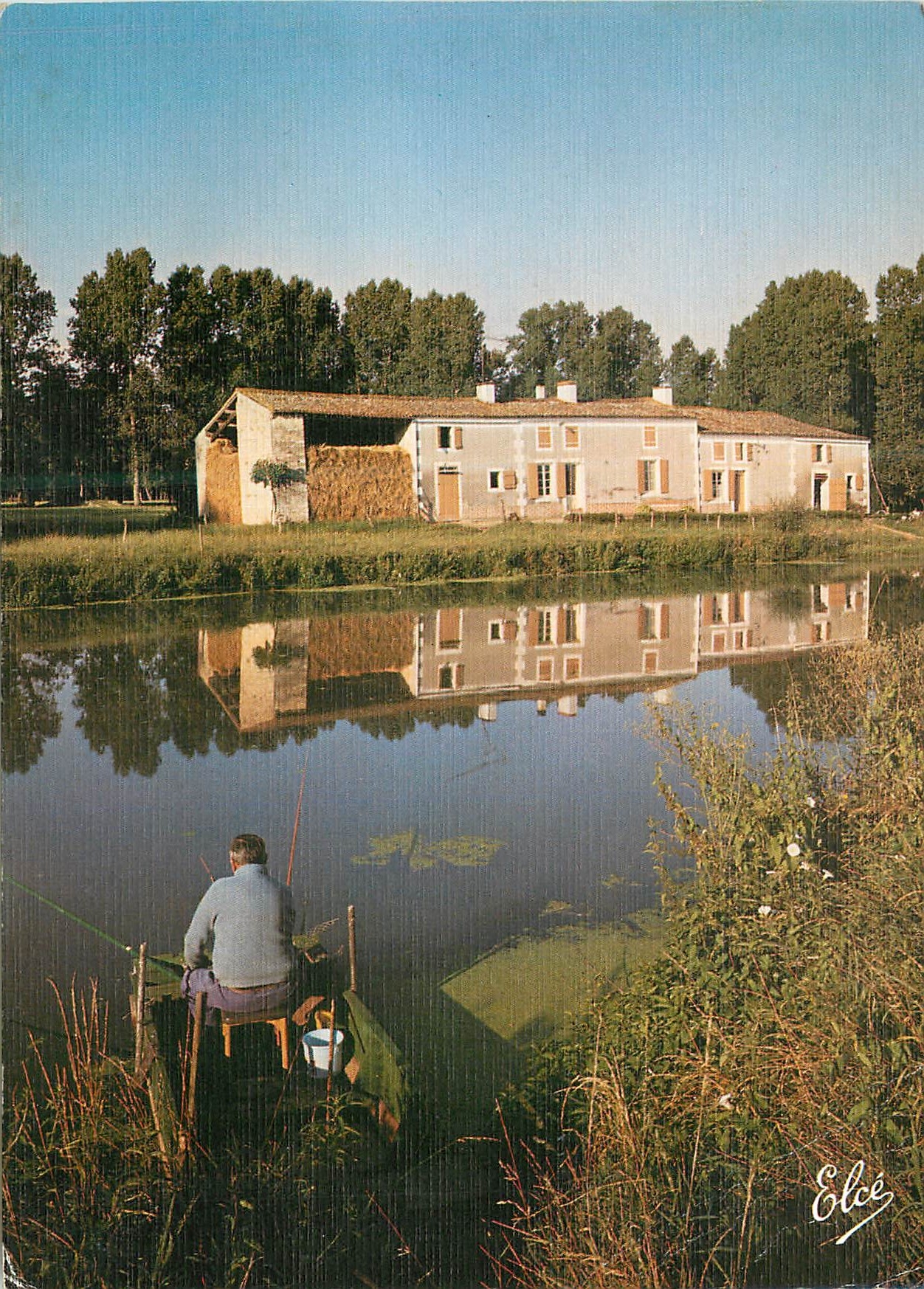 CPM Poitou Les Deux Sevres Touristiques Marais Poitevin Les Marais Geles