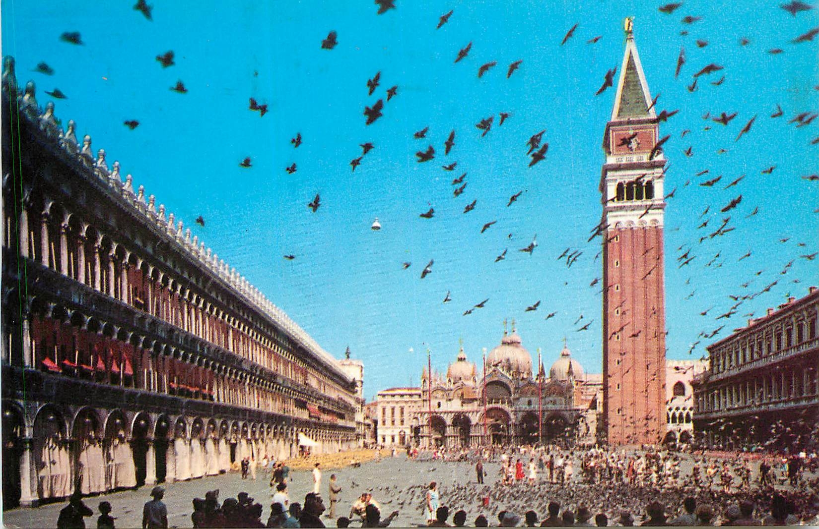 CPM Venezia Place de S Marco Volee des Pigeons