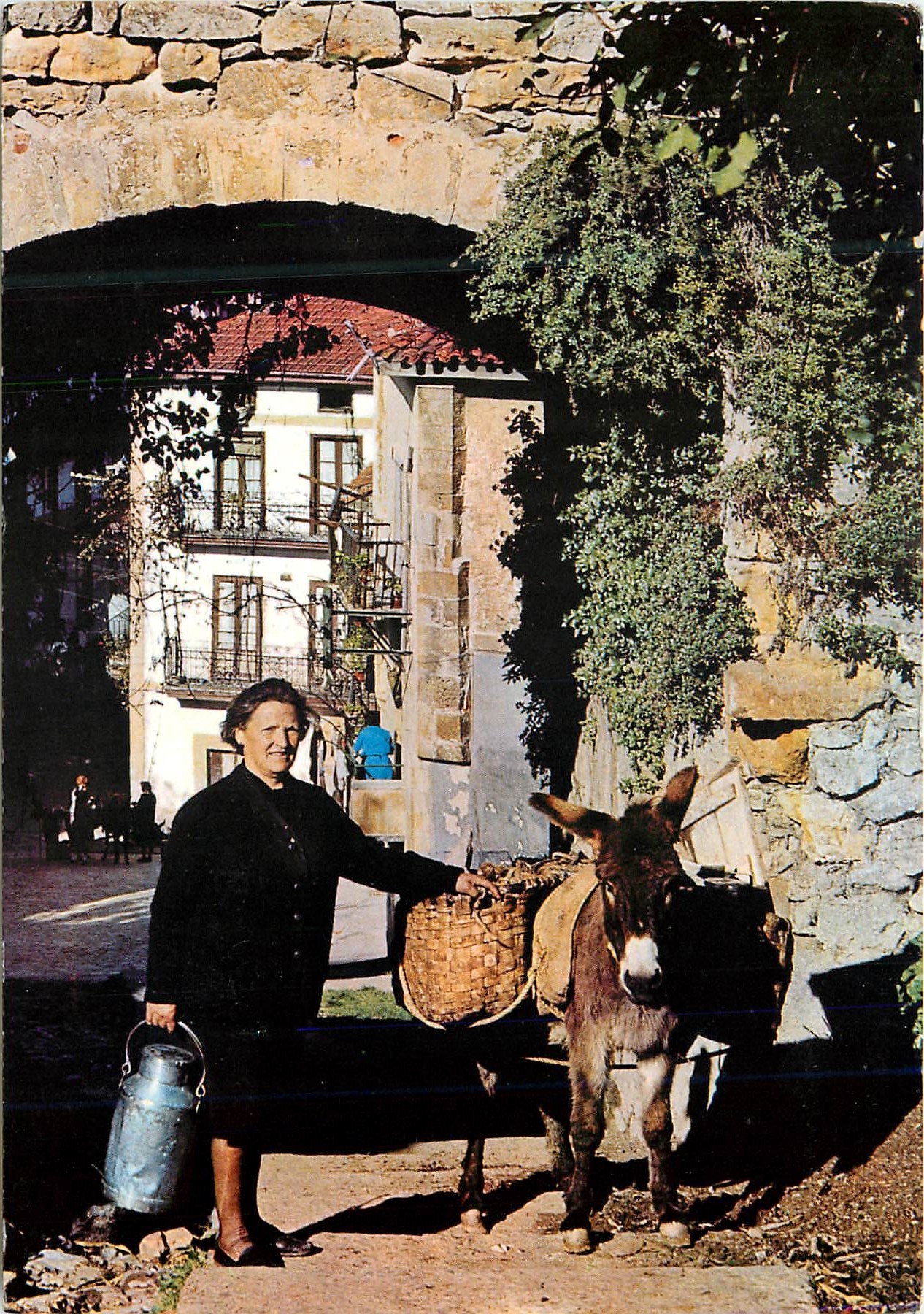 CPM Laredo Entree ancienne de la Villa Ane Donkey Folklore