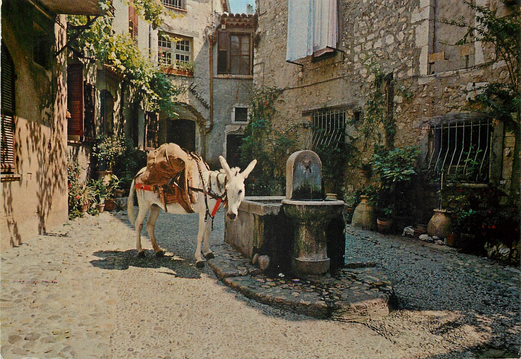 CPM Saint Paul (Alpes Maritimes) La Placette Cote d'Azur French Riviera Ane Donkey