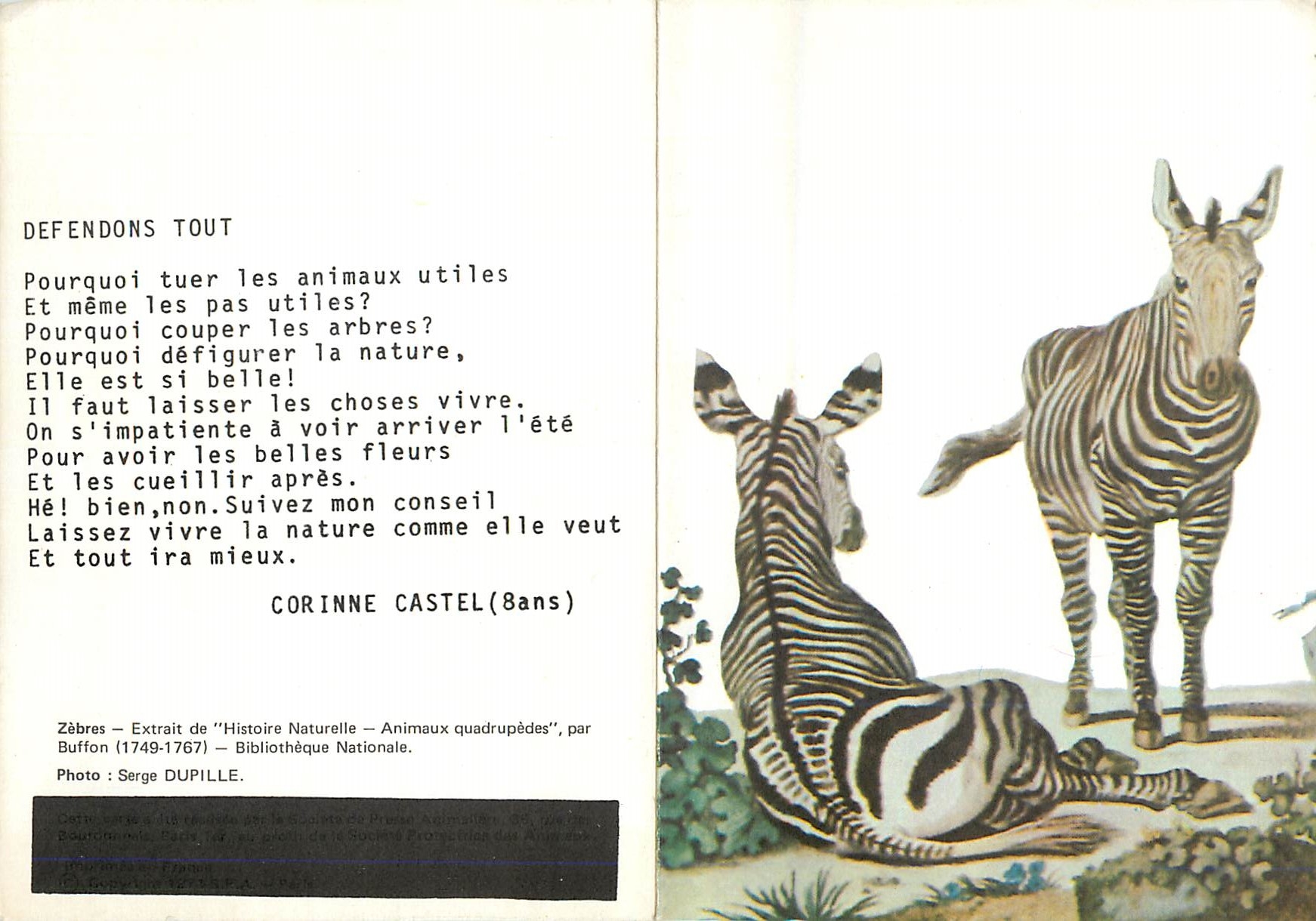 CPM Meilleurs Voeux Zebres Extrait de Histoire Naturelle 