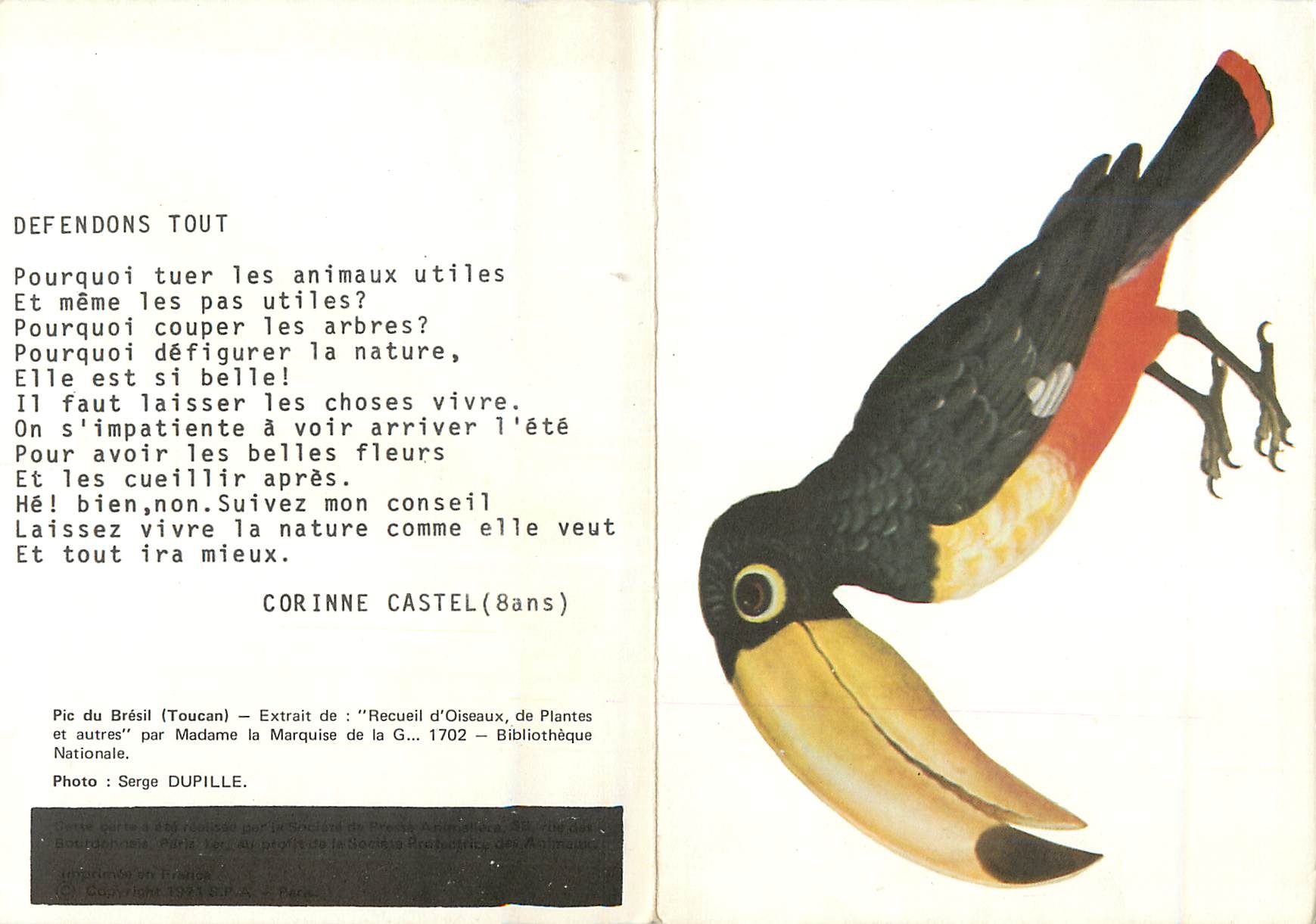 Toucan — Poème d'une enfant — Société de Protection des Animaux