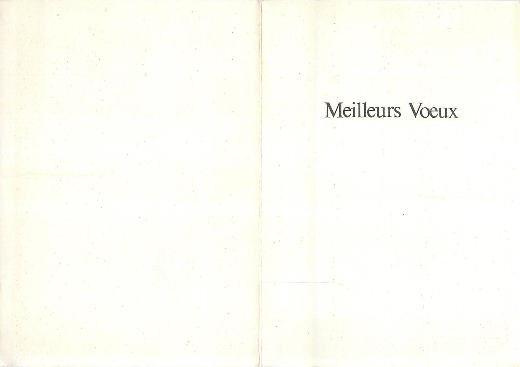 CPM Meilleurs Voeux Grand Duc Hibou