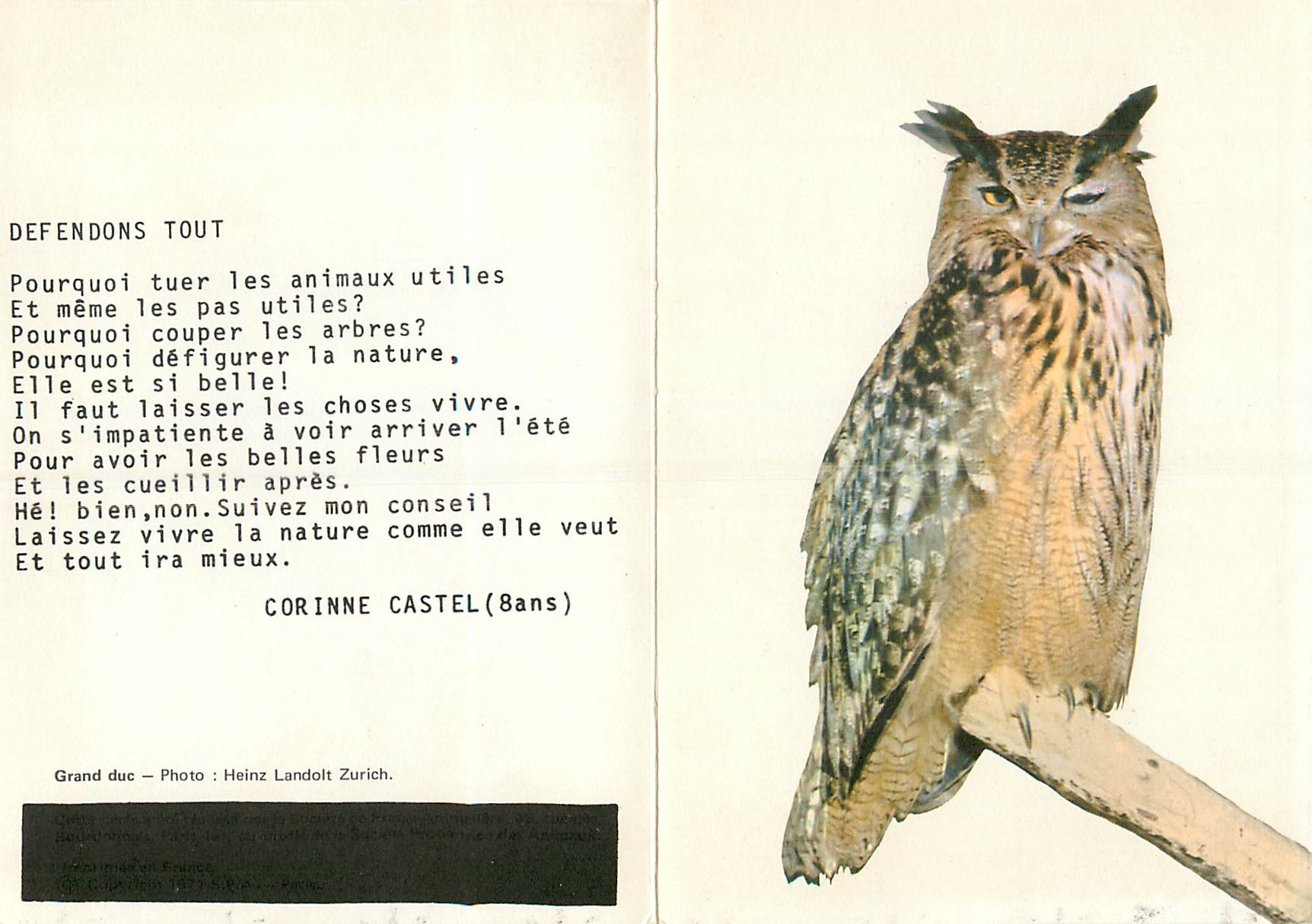 CPM Meilleurs Voeux Grand Duc Hibou — Rückseite
