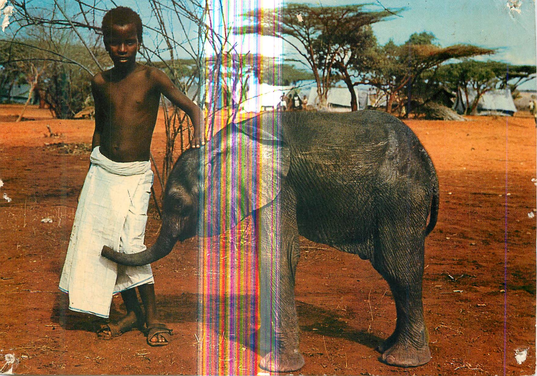 Kisimayo National Park — Deux jeunes amis — Rosario Casella