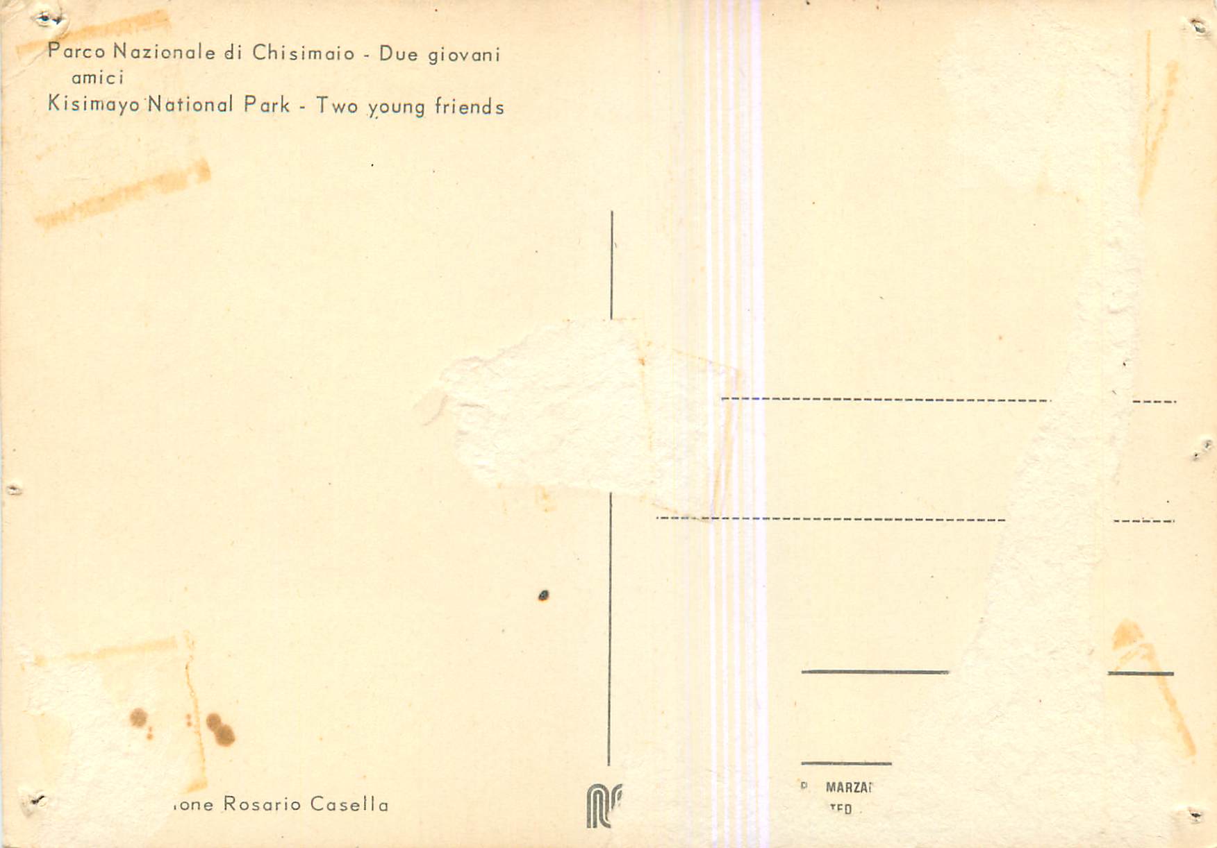 Kisimayo National Park — Deux jeunes amis — Rosario Casella — Verso