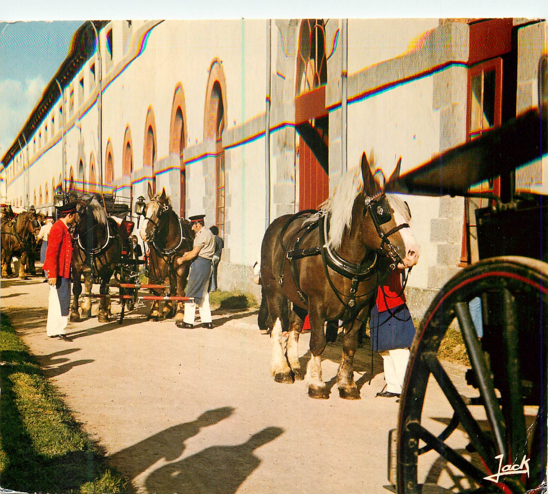 CPM Couleurs de Bretagne Lamballe Le Haras Chevaux