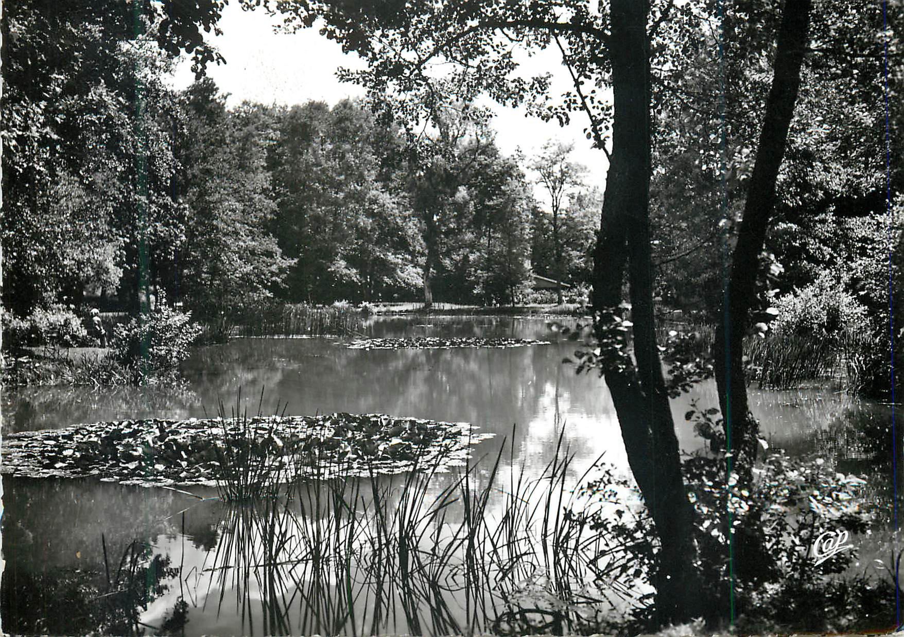 CPM Vittel (Vosges) L'Etang des Fees