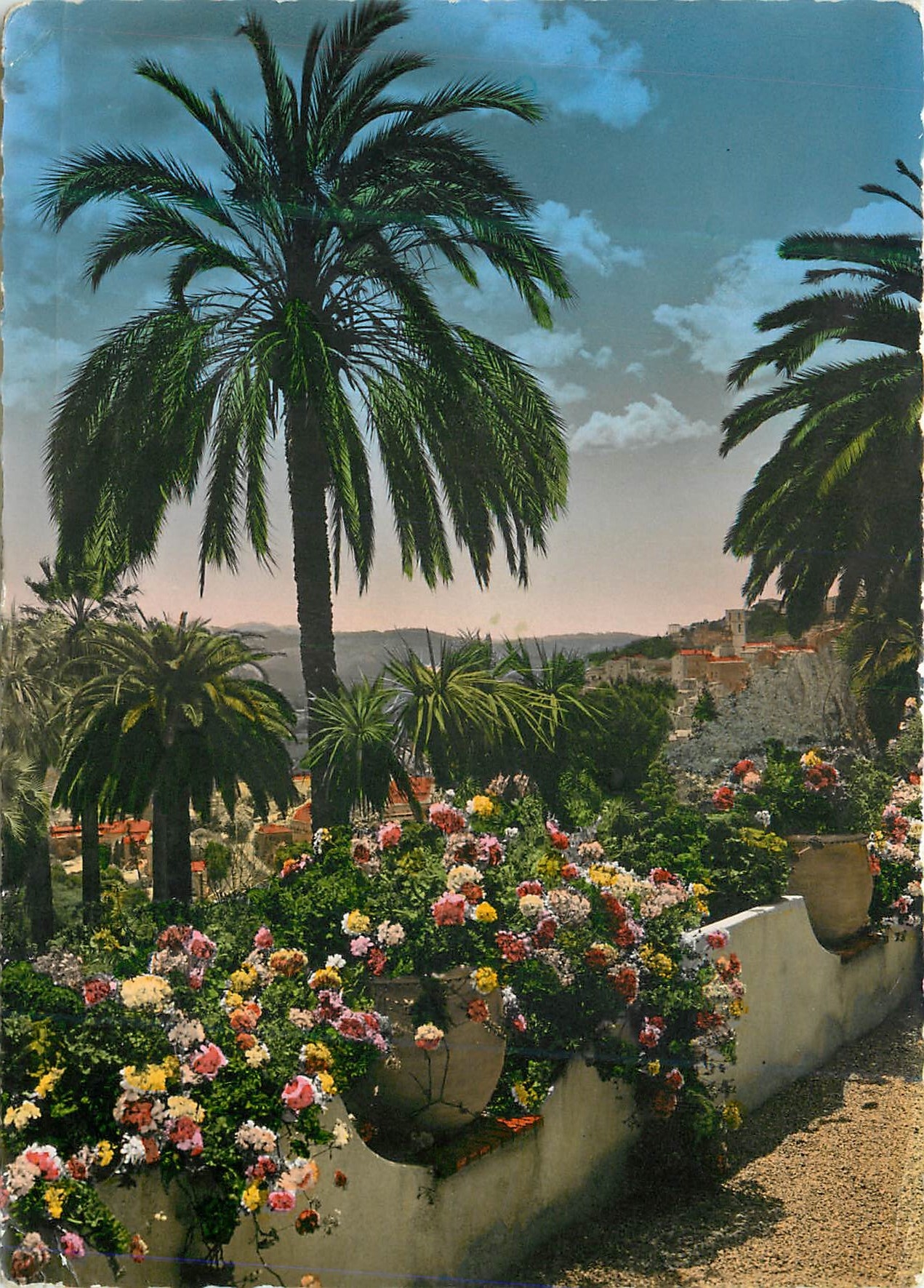 CPM Grasse Cote d'Azur Vue a Travers la Vegetation Mediterraneenne