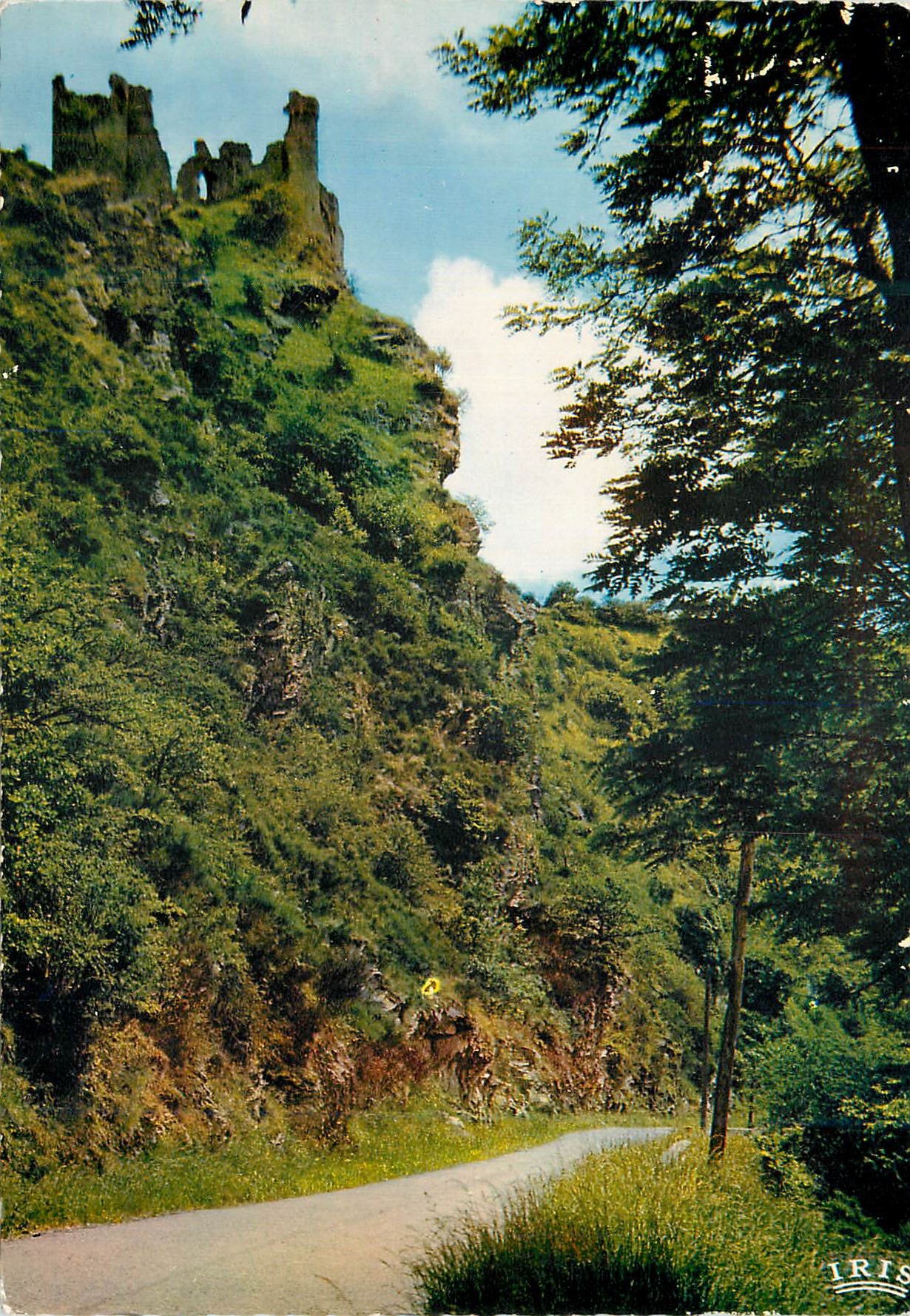CPM L'Auvergne Gorges de la Sioule Chateau Rocher