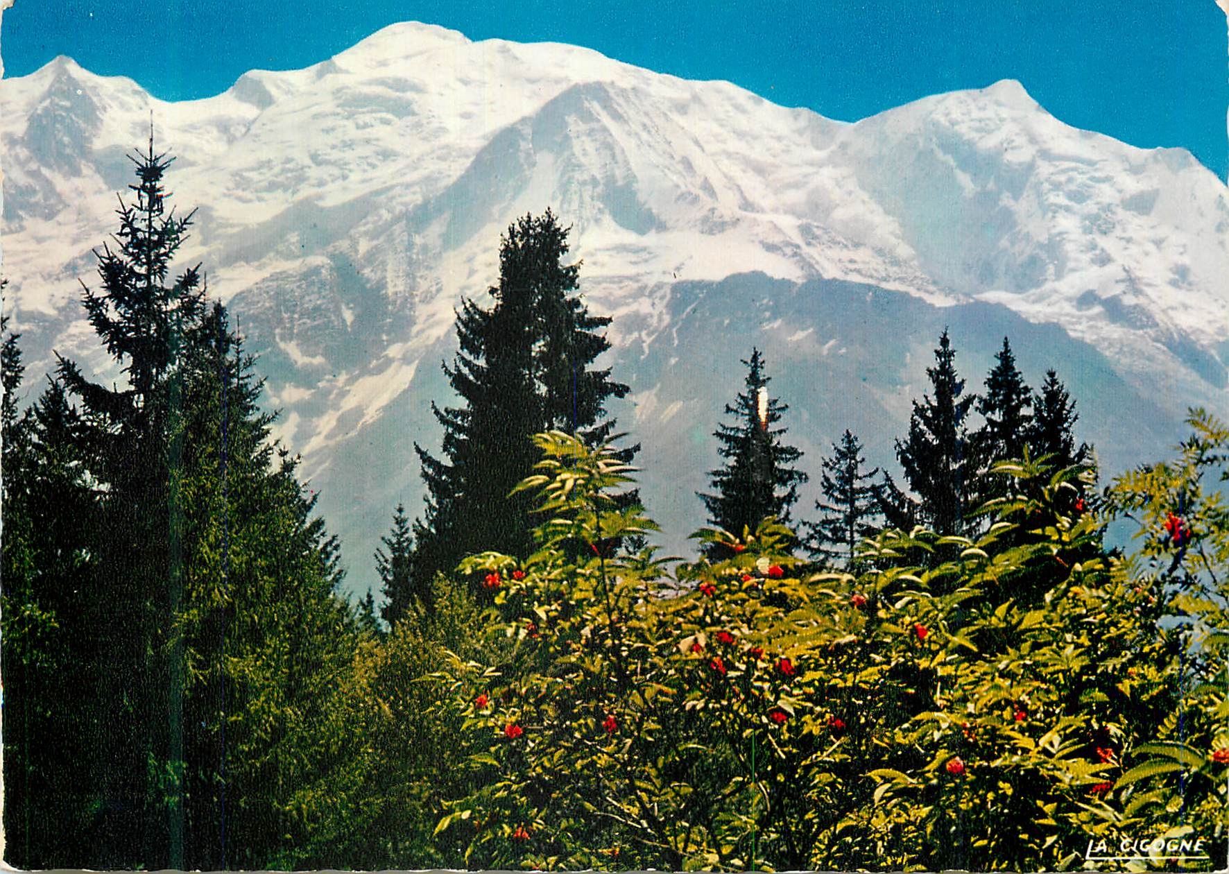 CPM Panorama sur le Massif du Mont Blanc Mont Maudit (4465 m) Mont Blanc (4807 m)