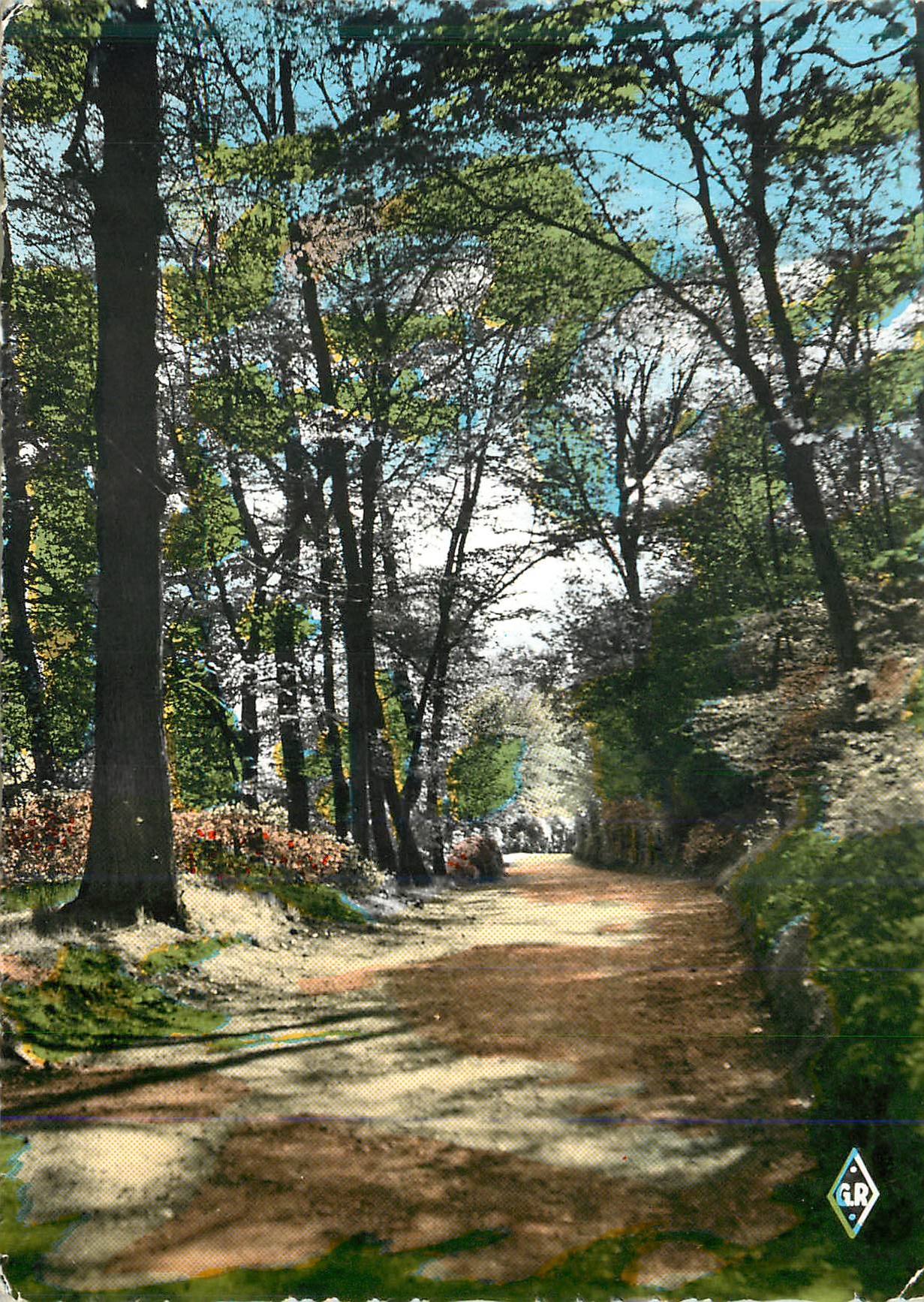 CPM Epinal (Vosges) Sous Bois dans le Vieux Chateau