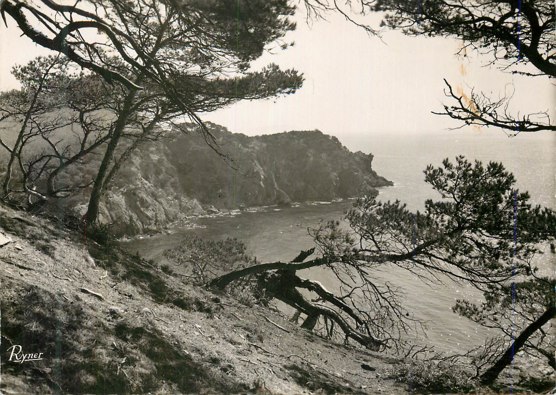 CPM Ile de Porquerolles Les Iles d'Or Calanque de L'Oustaou de Dieou