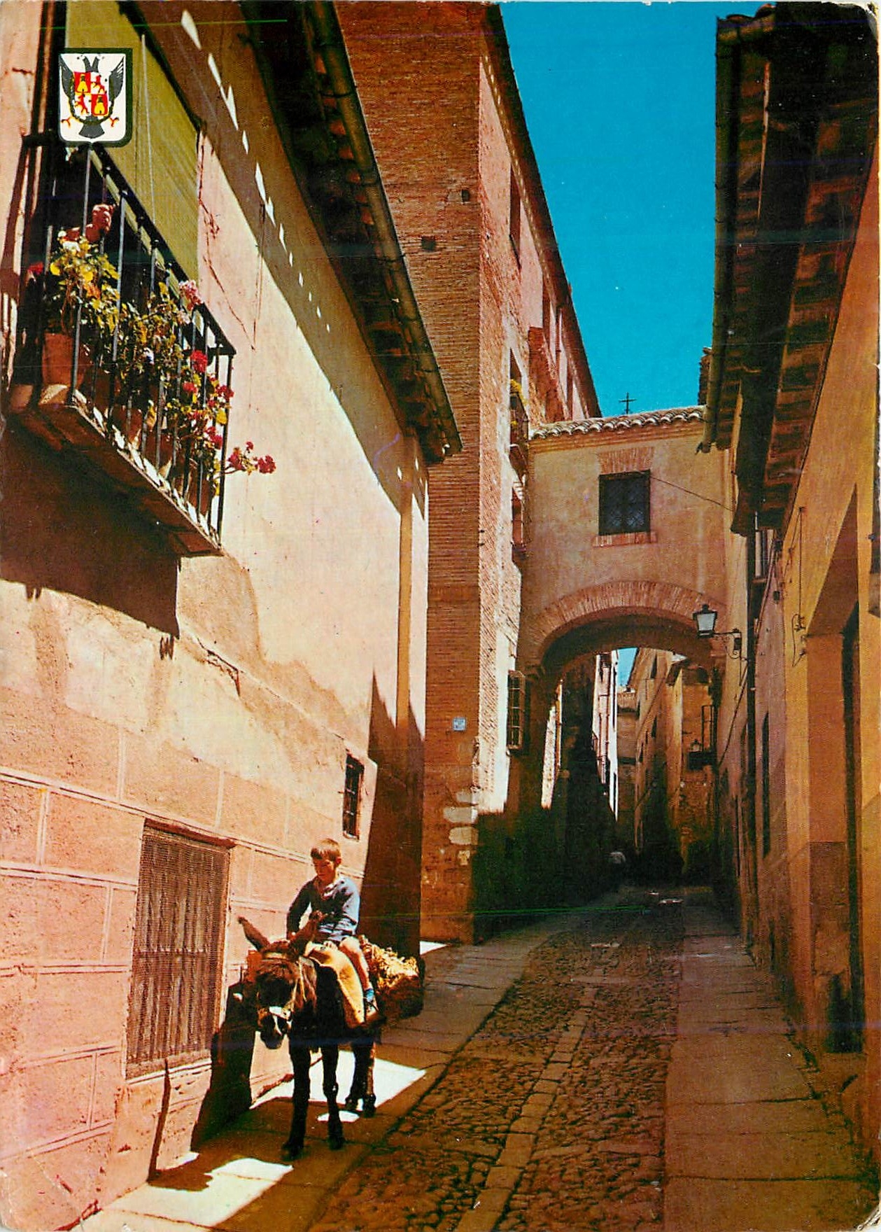 CPM Toledo Rue Typique Ane Donkey