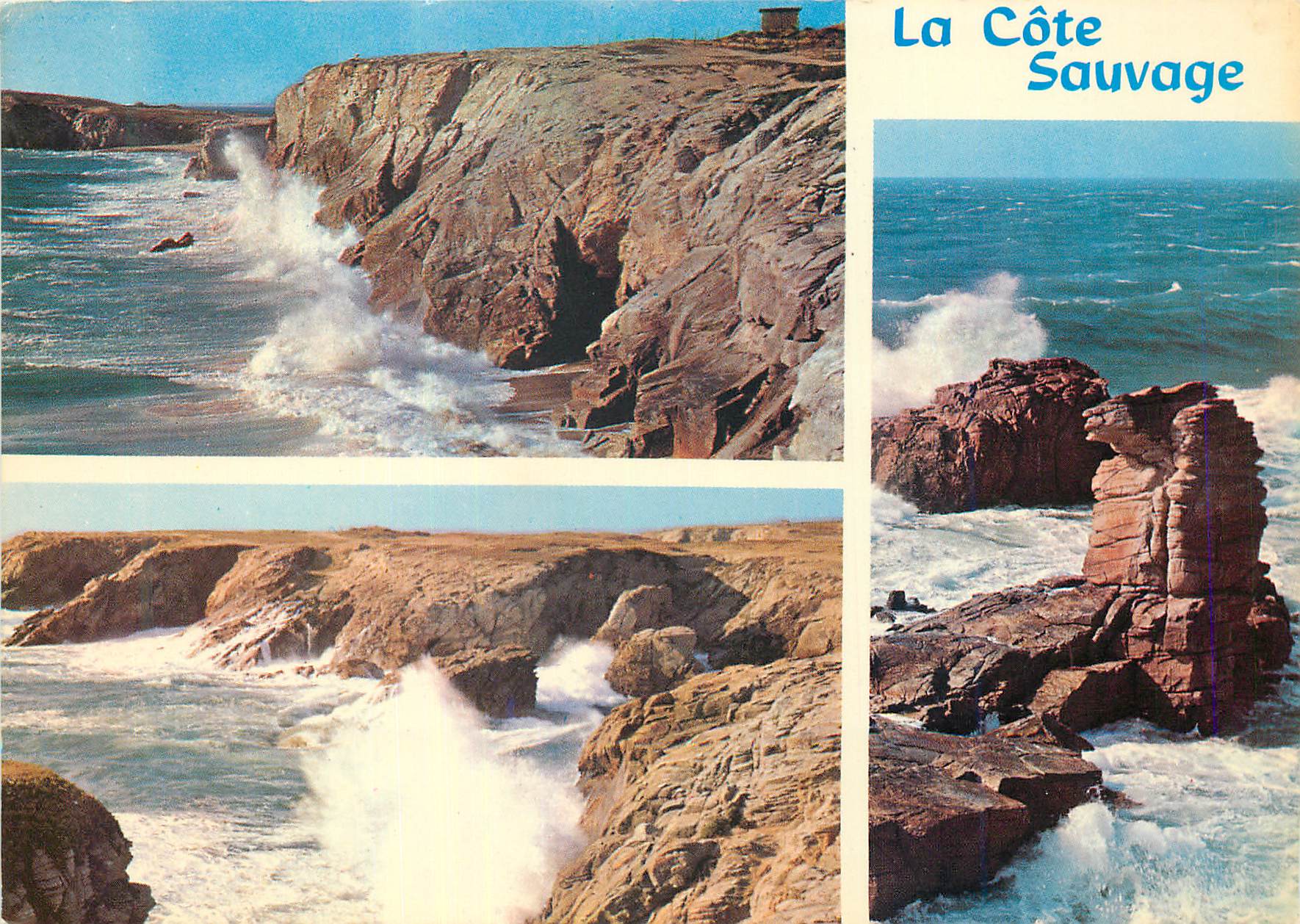 CPA La Cote Sauvage de Quiberon Couleurs de Bretagne