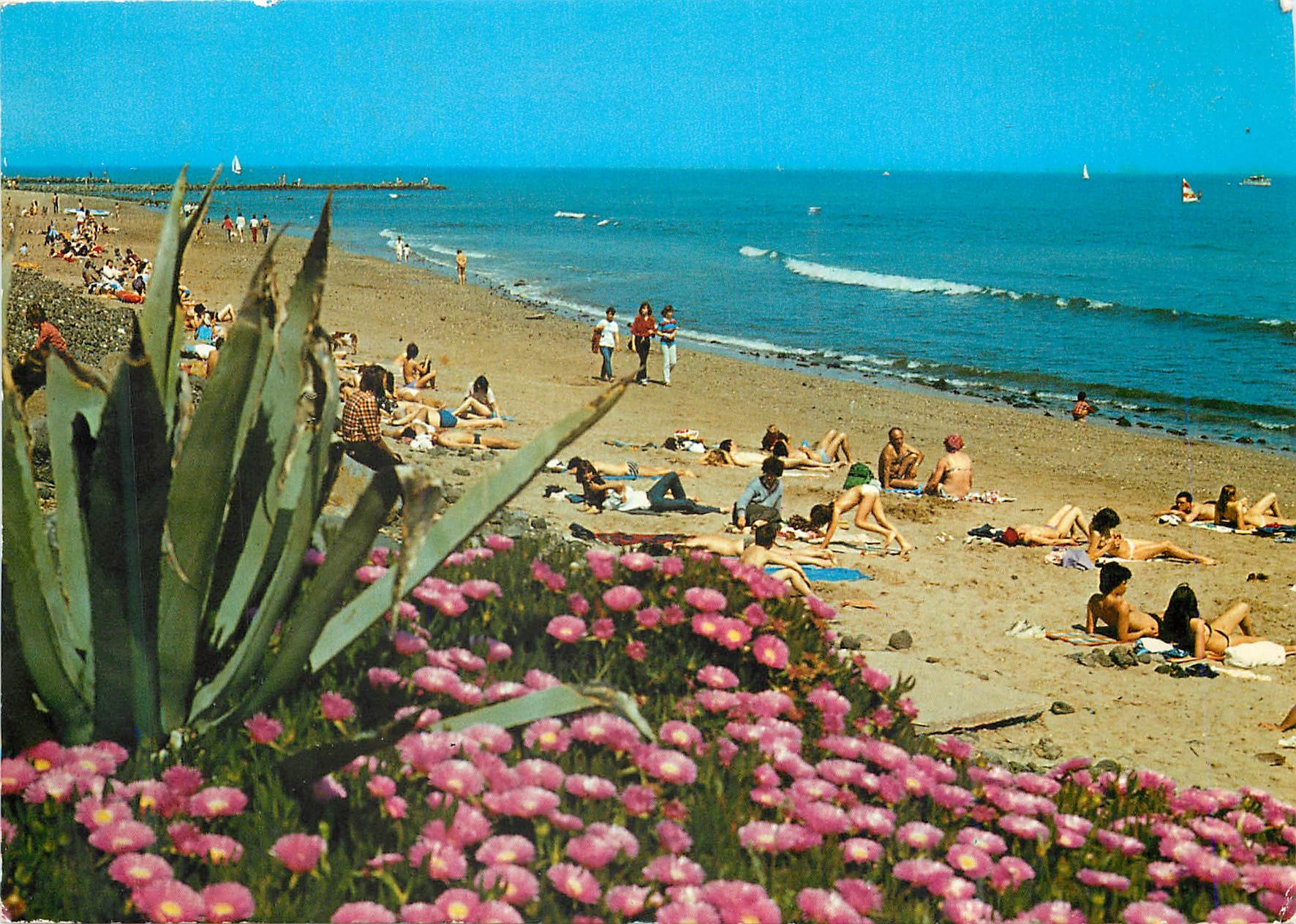 CPA La Cap d'Agde La Plage du Mole Fleurie