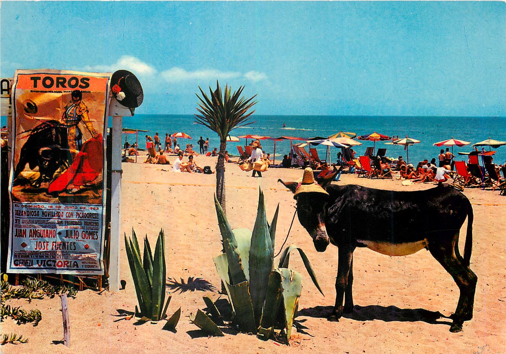 CPM Espana Tipica Scene a la Plage Ane Donkey Corrida