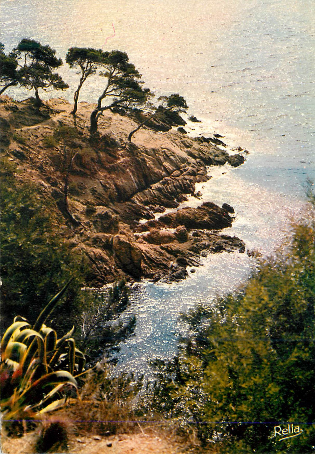 CPM Contre Jour sur la Cote d'Azur