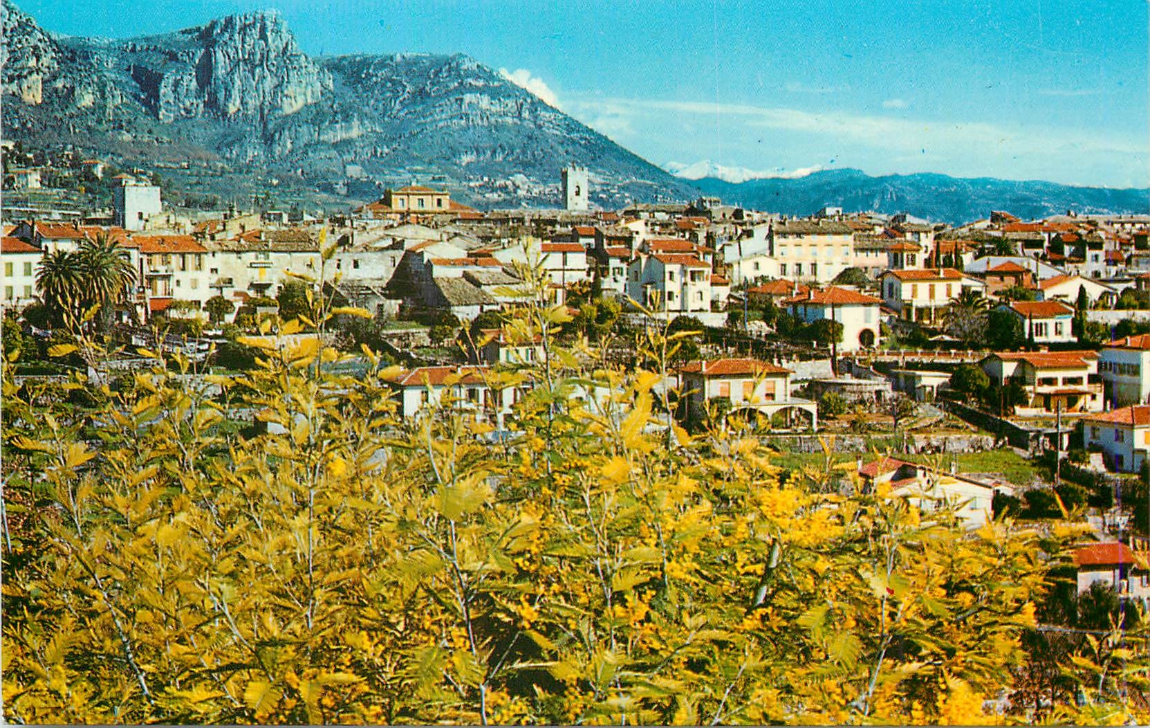 CPM Vence Cote d'Azur la Jolie Vue Panoramique au Fond les Baous