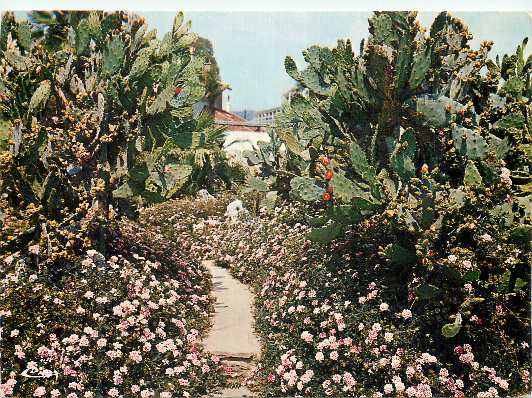 Jardin Olbius-Riquier — Hyères (Var) — Éditeur Combier